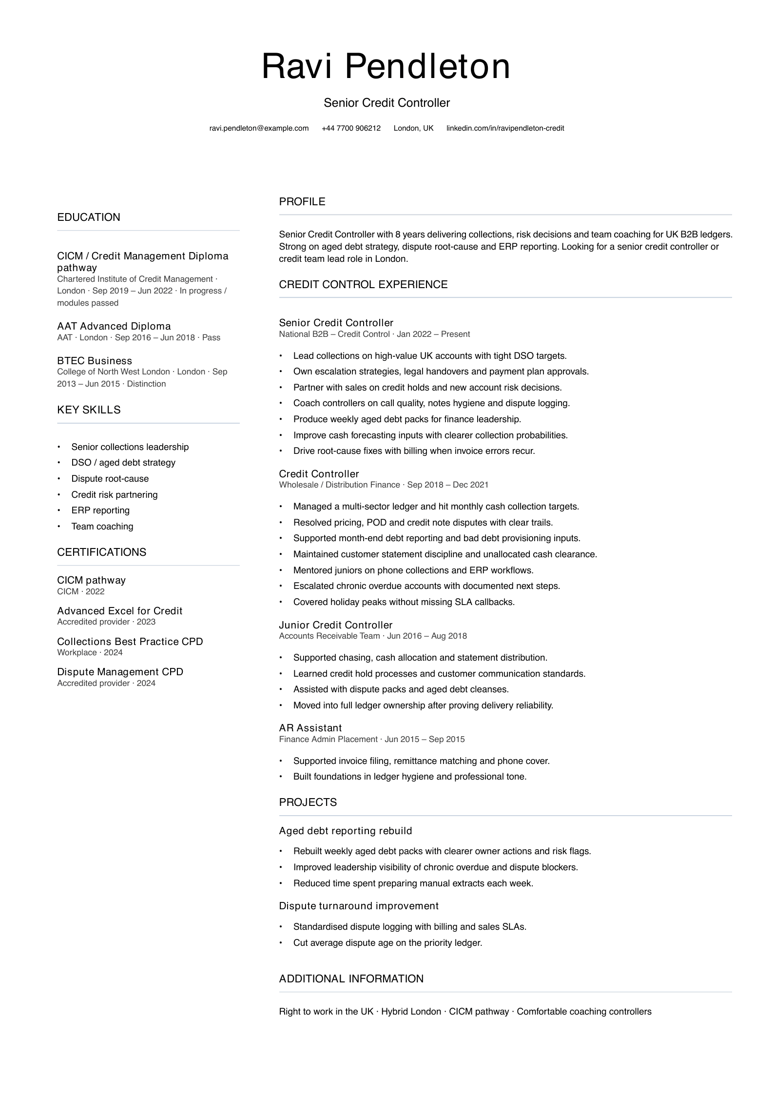 senior credit controller CV template