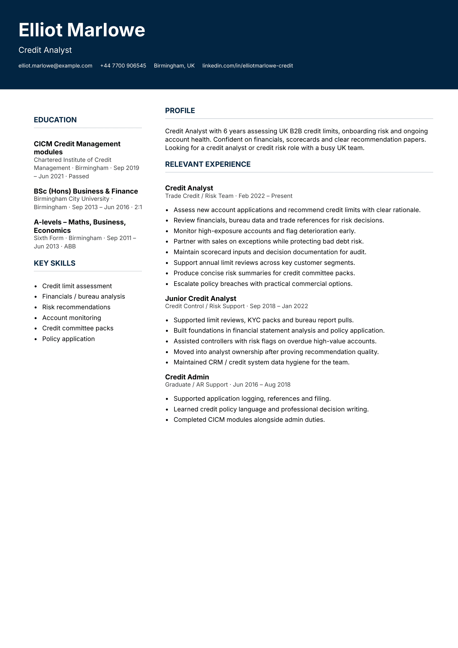 credit analyst CV template