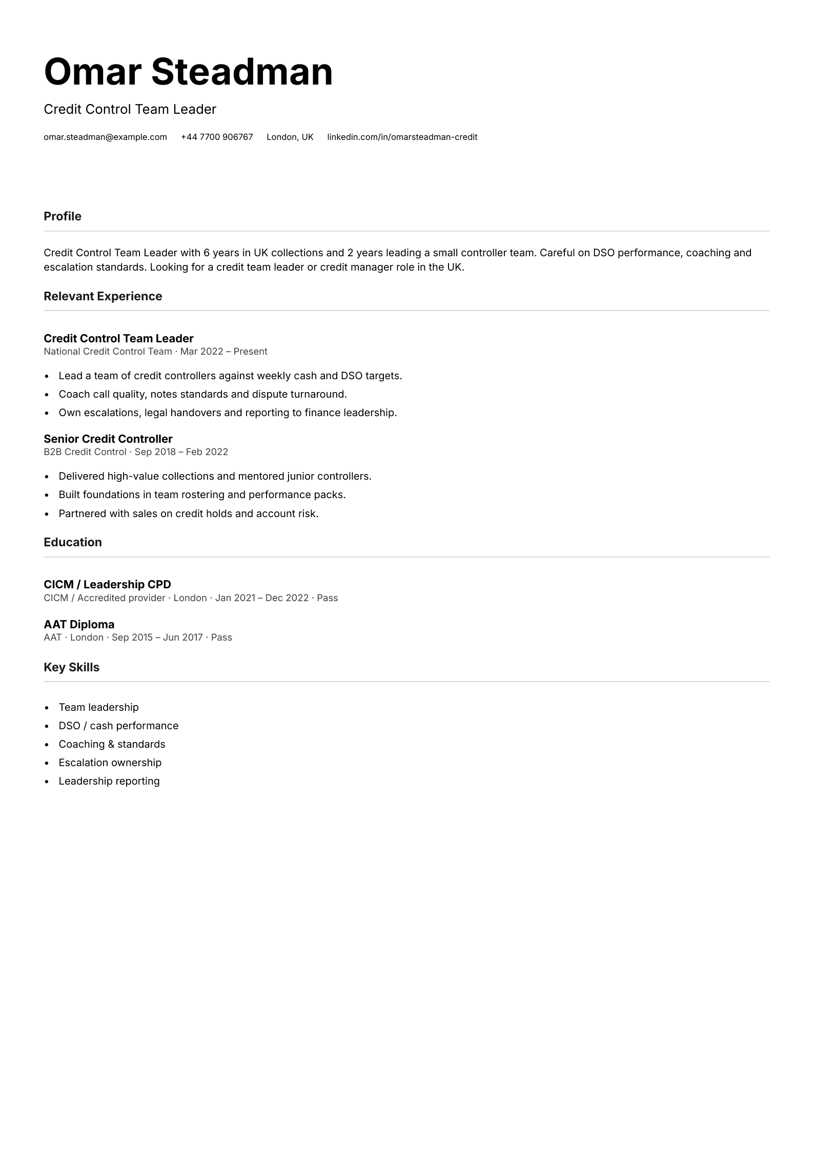 credit control team leader CV template