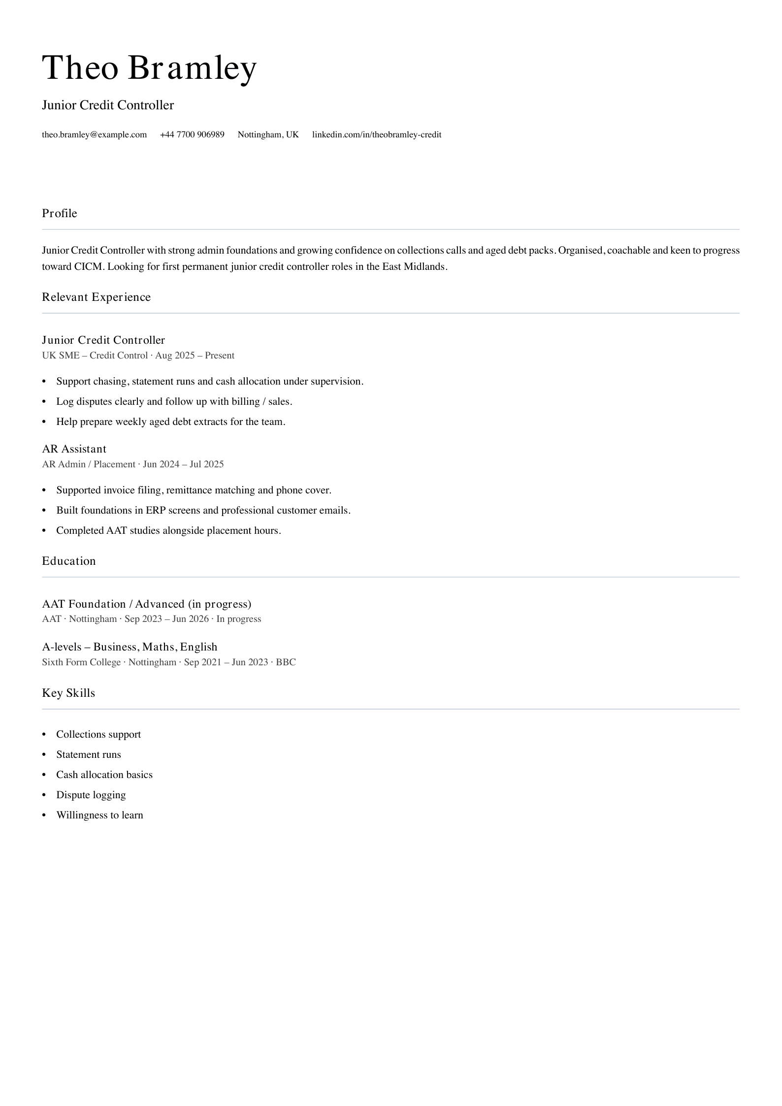 junior credit controller CV template