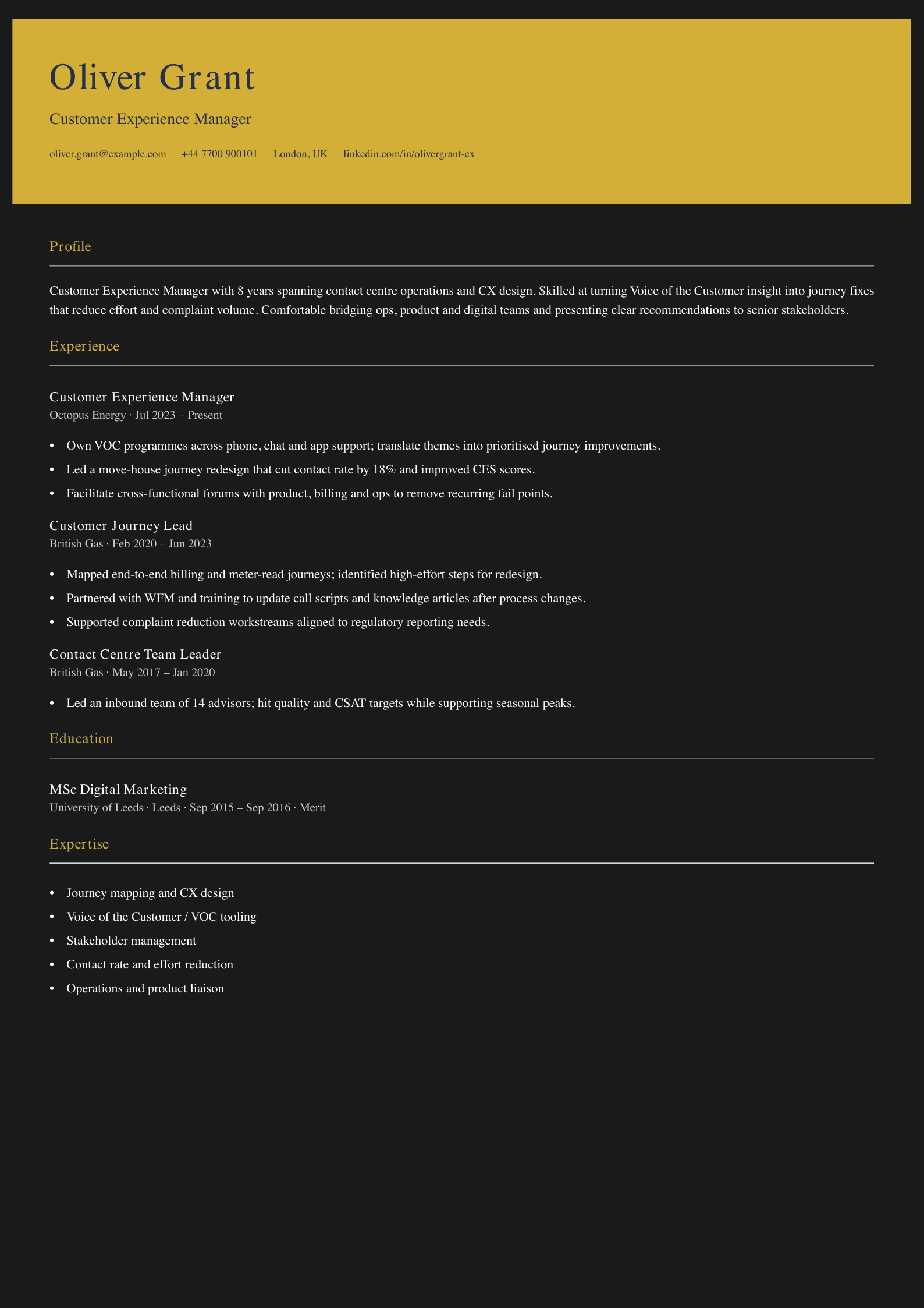 customer experience manager cv template