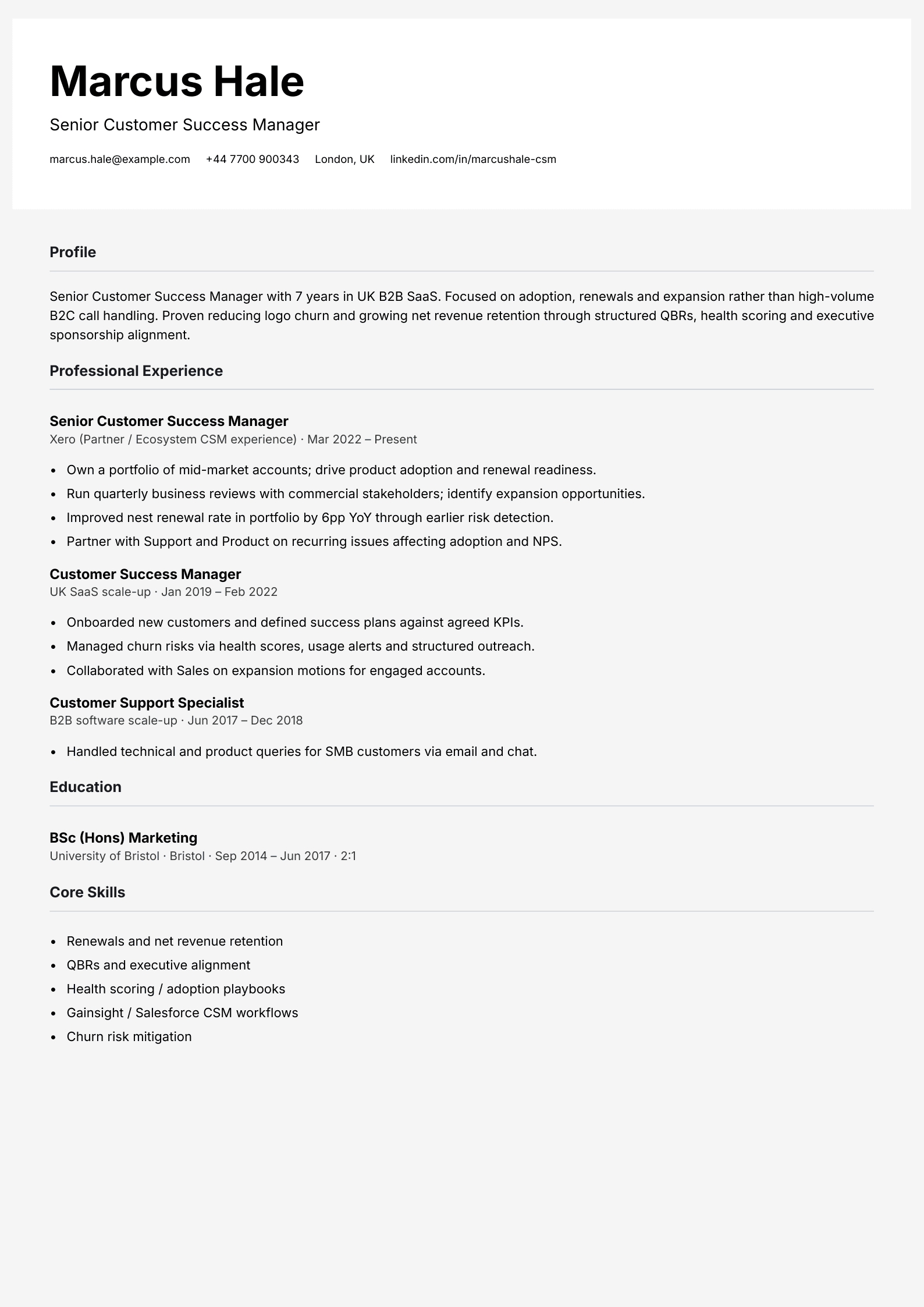 senior customer success manager cv template