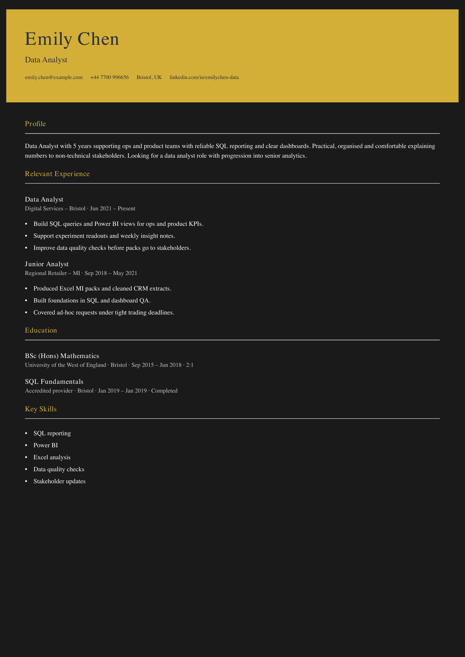data analyst CV template lean