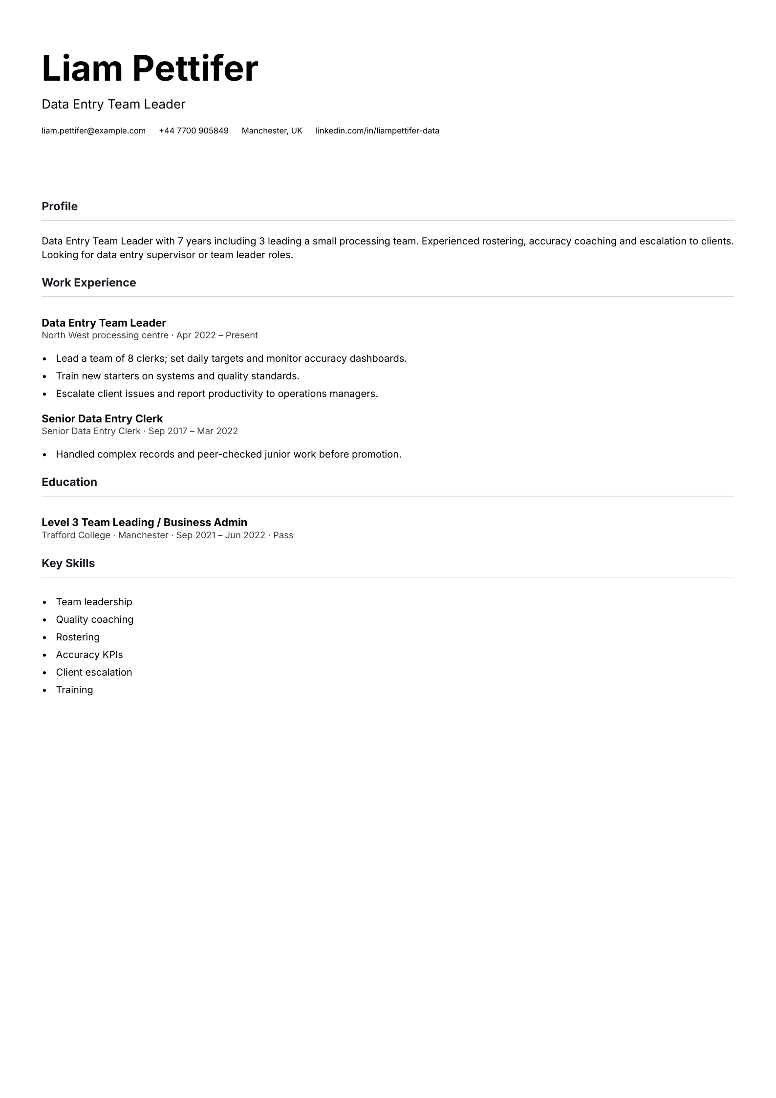 data entry team leader cv template