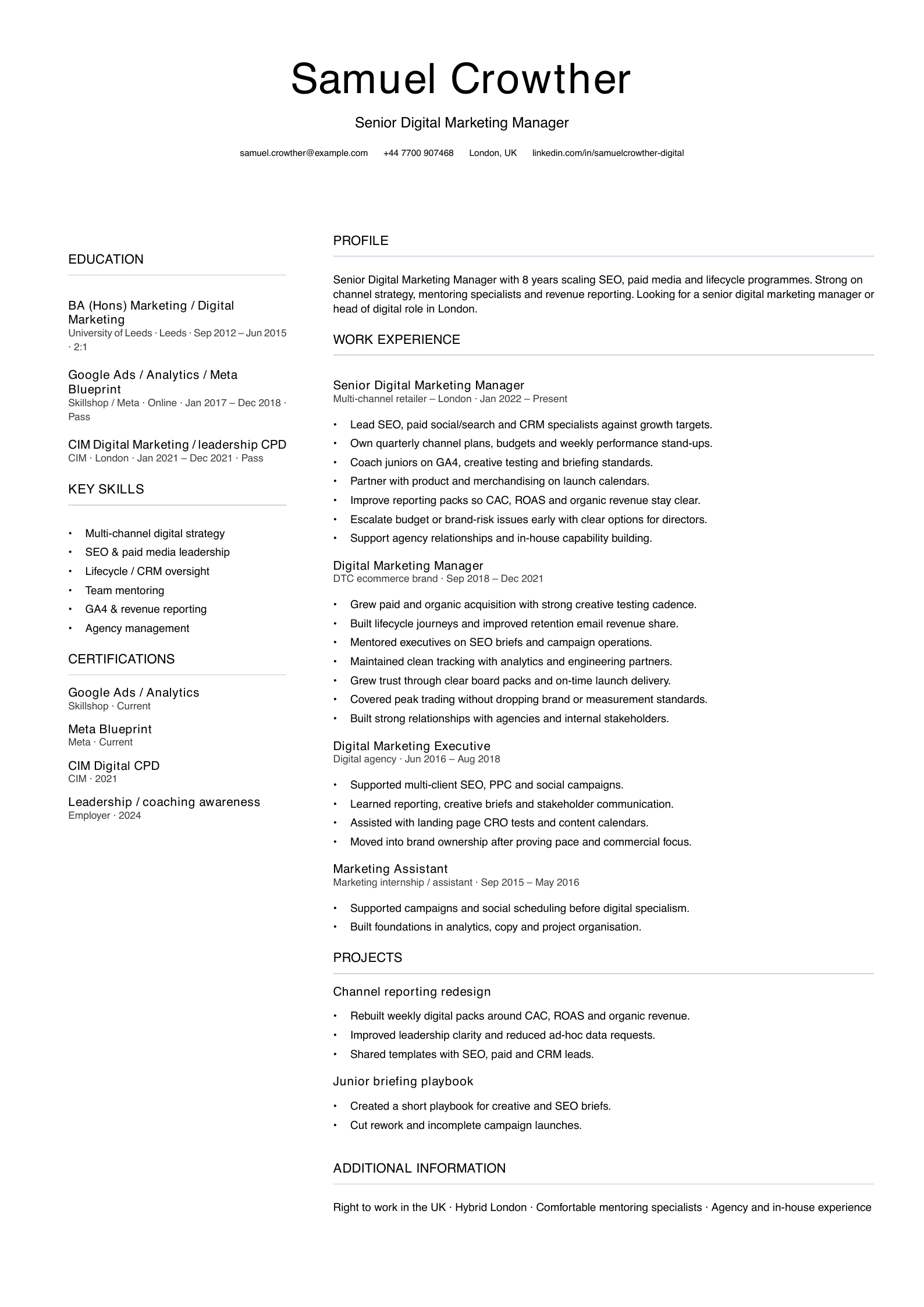 senior digital marketing manager CV template