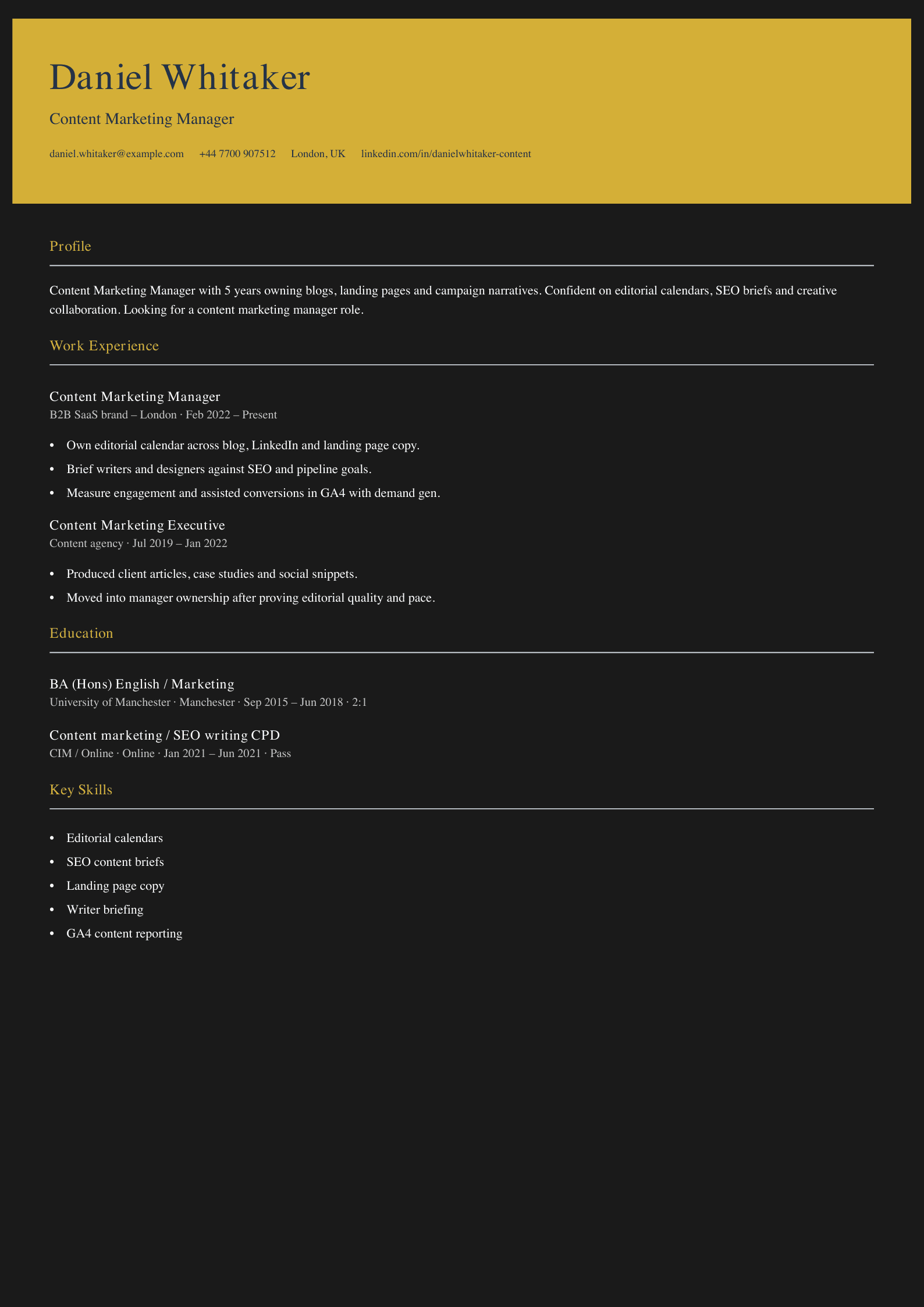 content marketing manager CV template