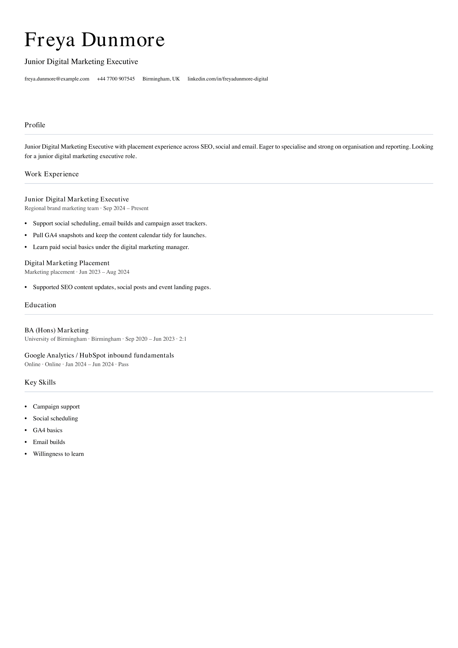 junior digital marketing executive CV template