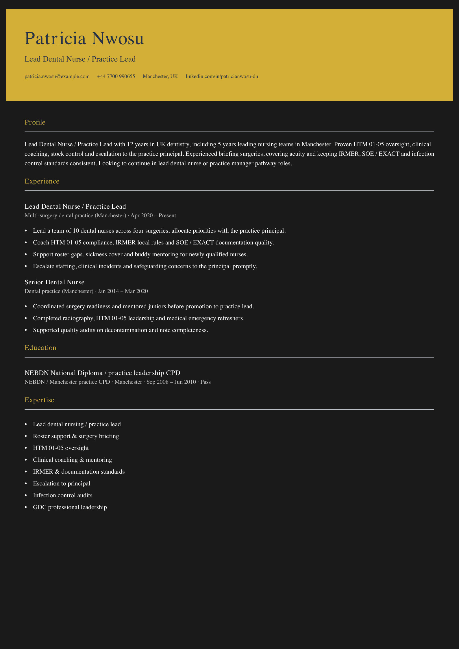 lead dental nurse practice lead cv template