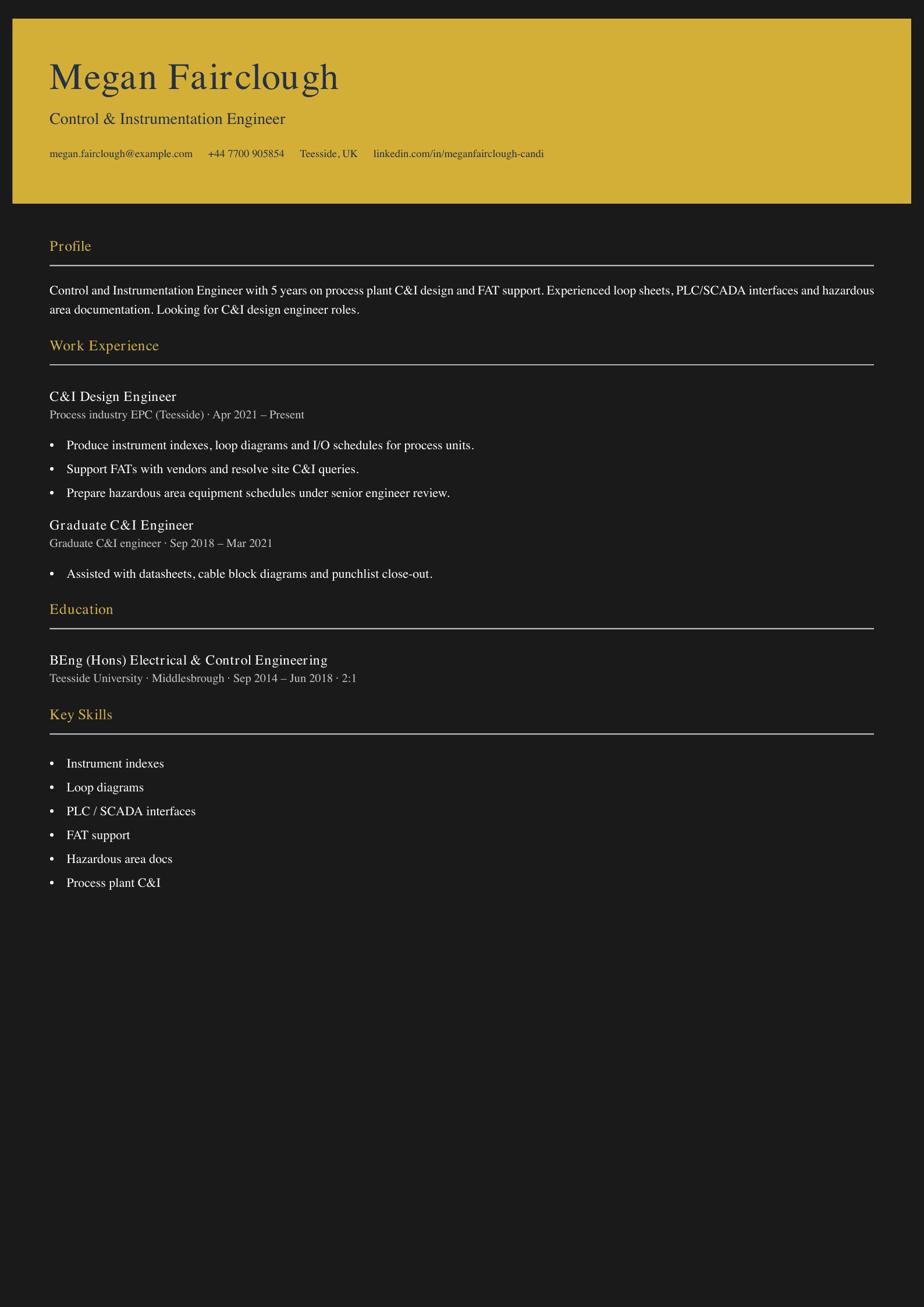 control instrumentation engineer cv template