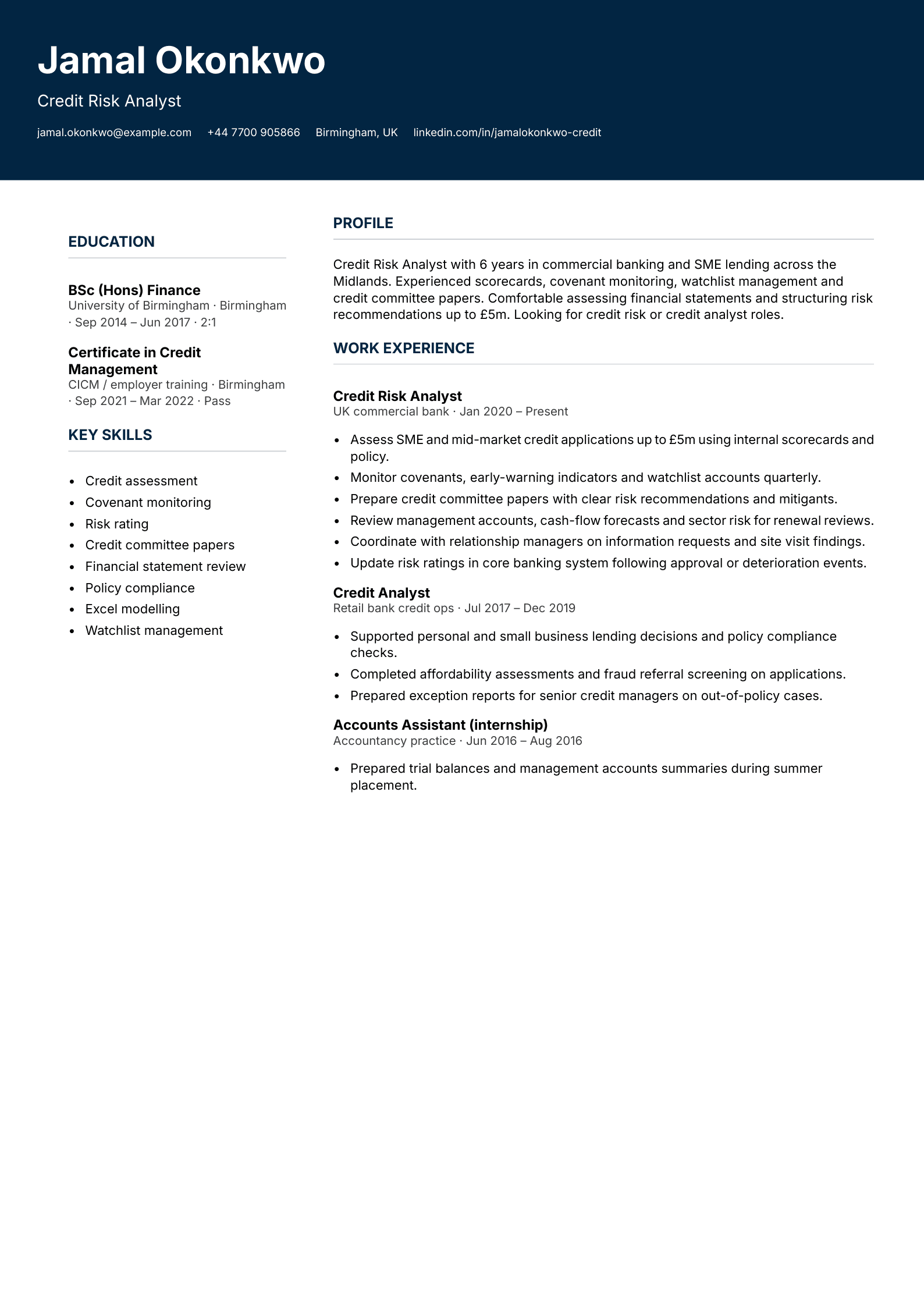 credit risk analyst cv template