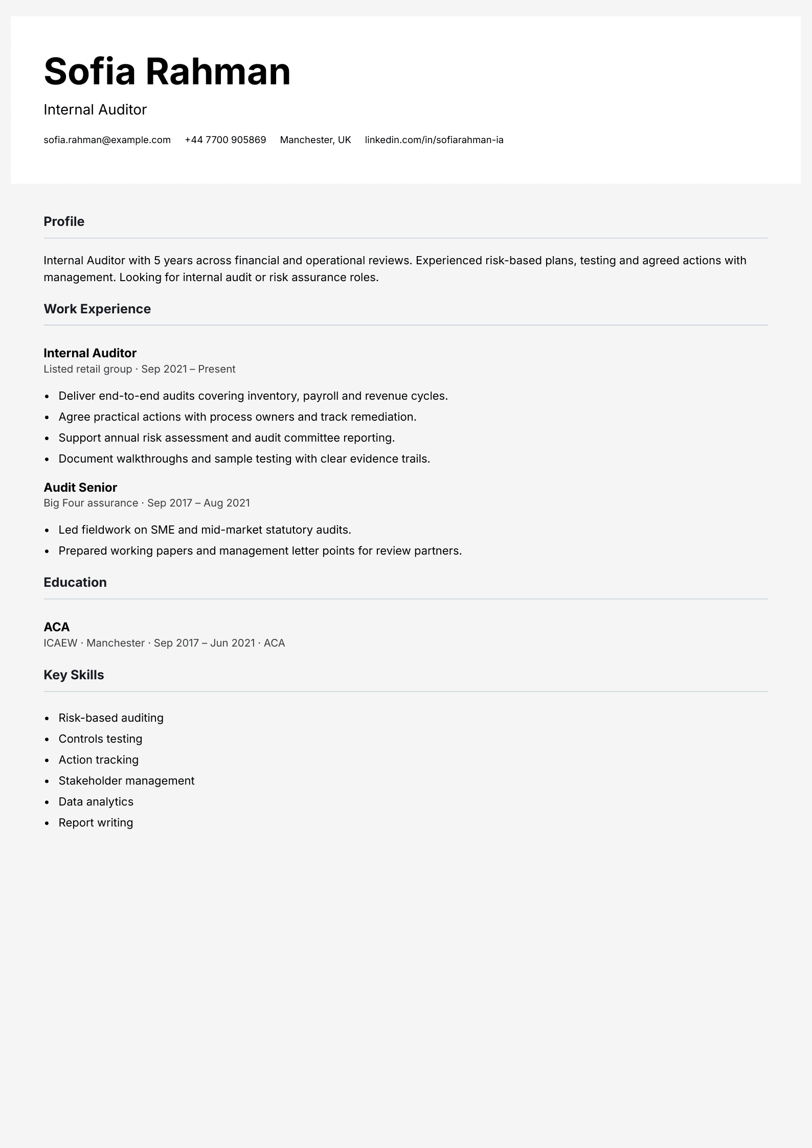internal auditor cv template