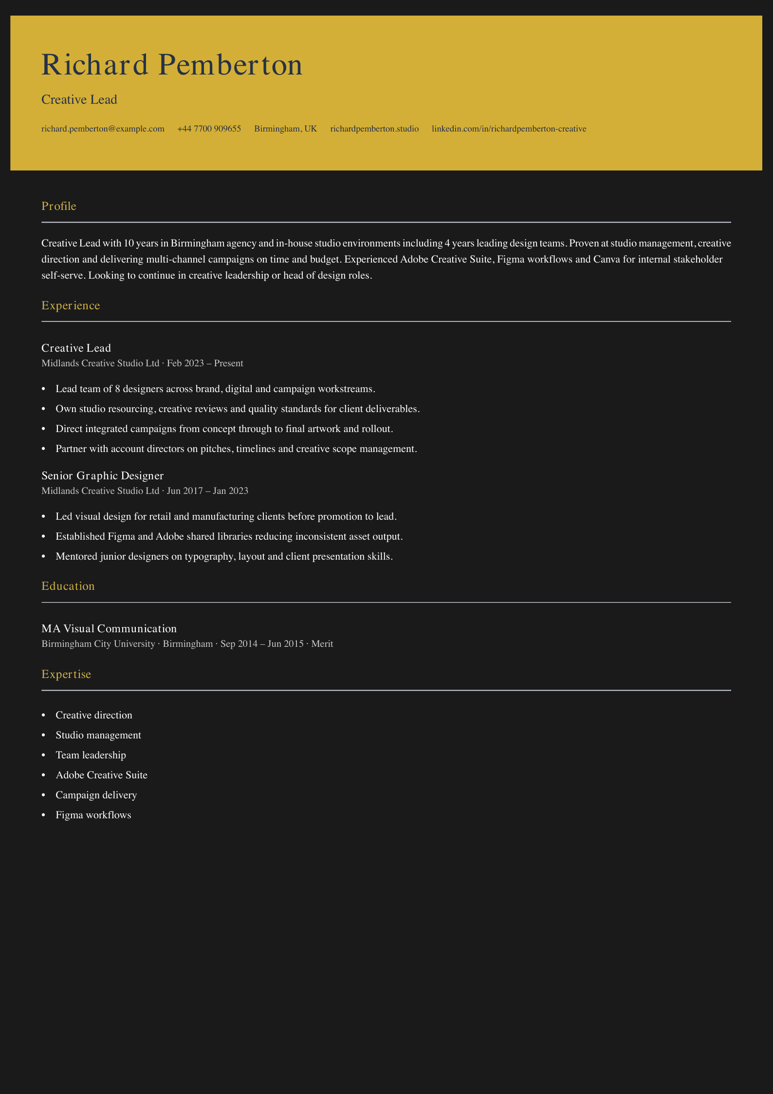creative lead cv template