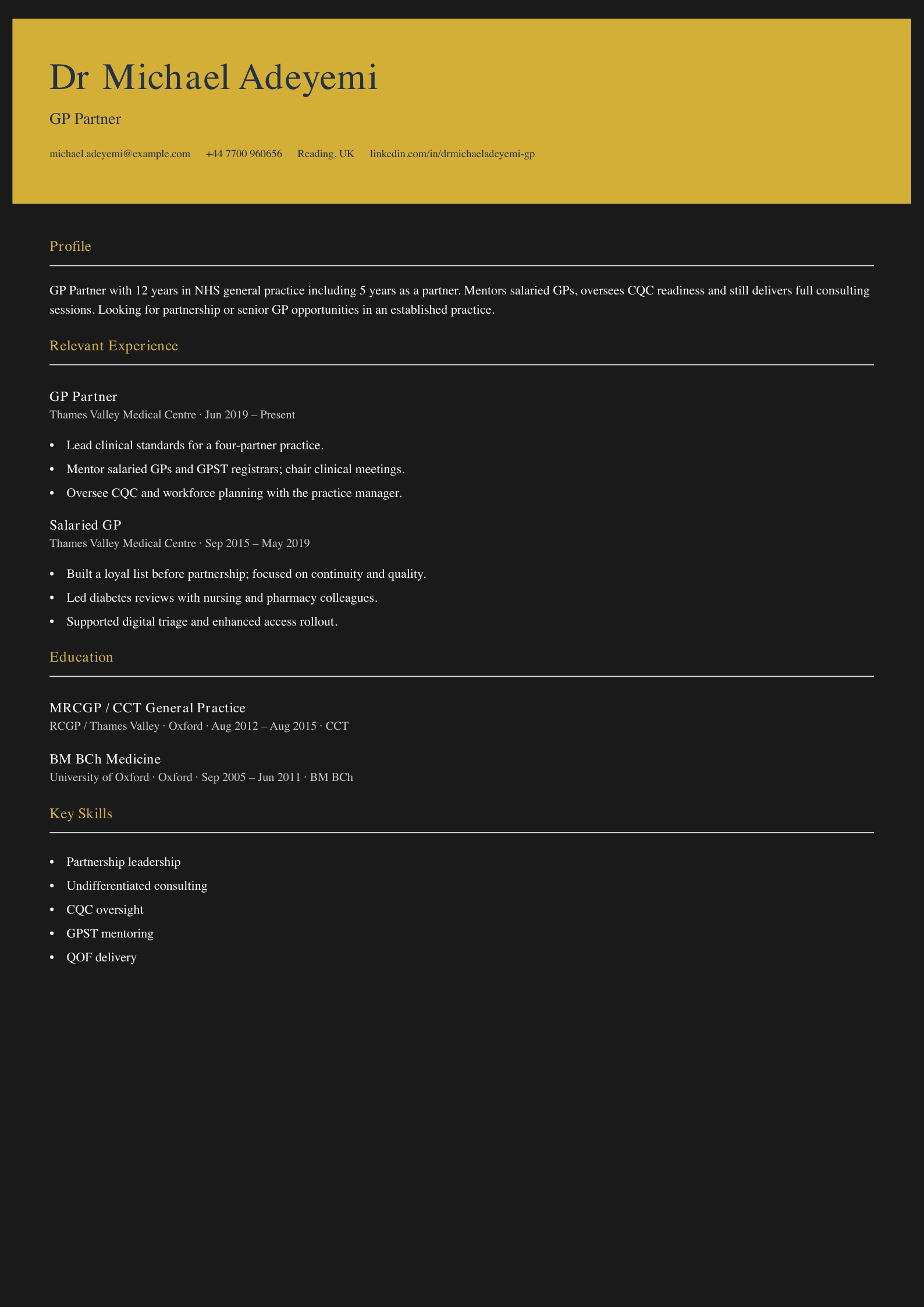 practice GP partner CV template