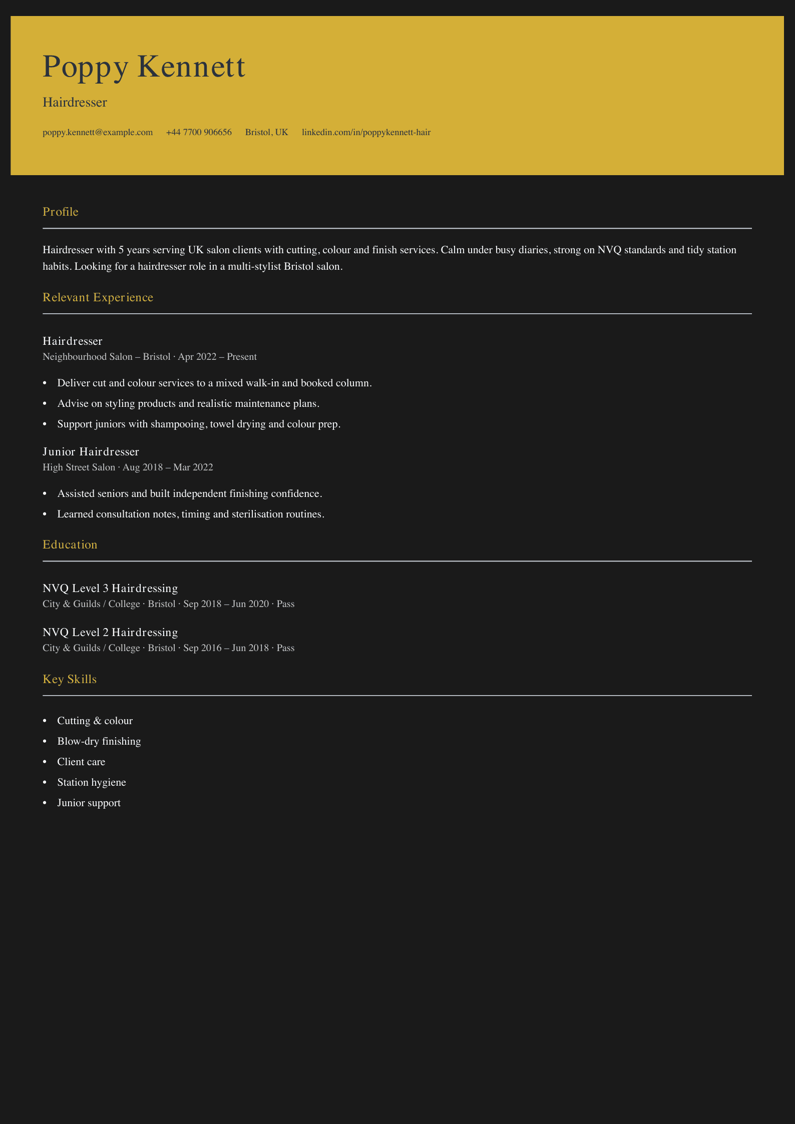 salon hairdresser CV template