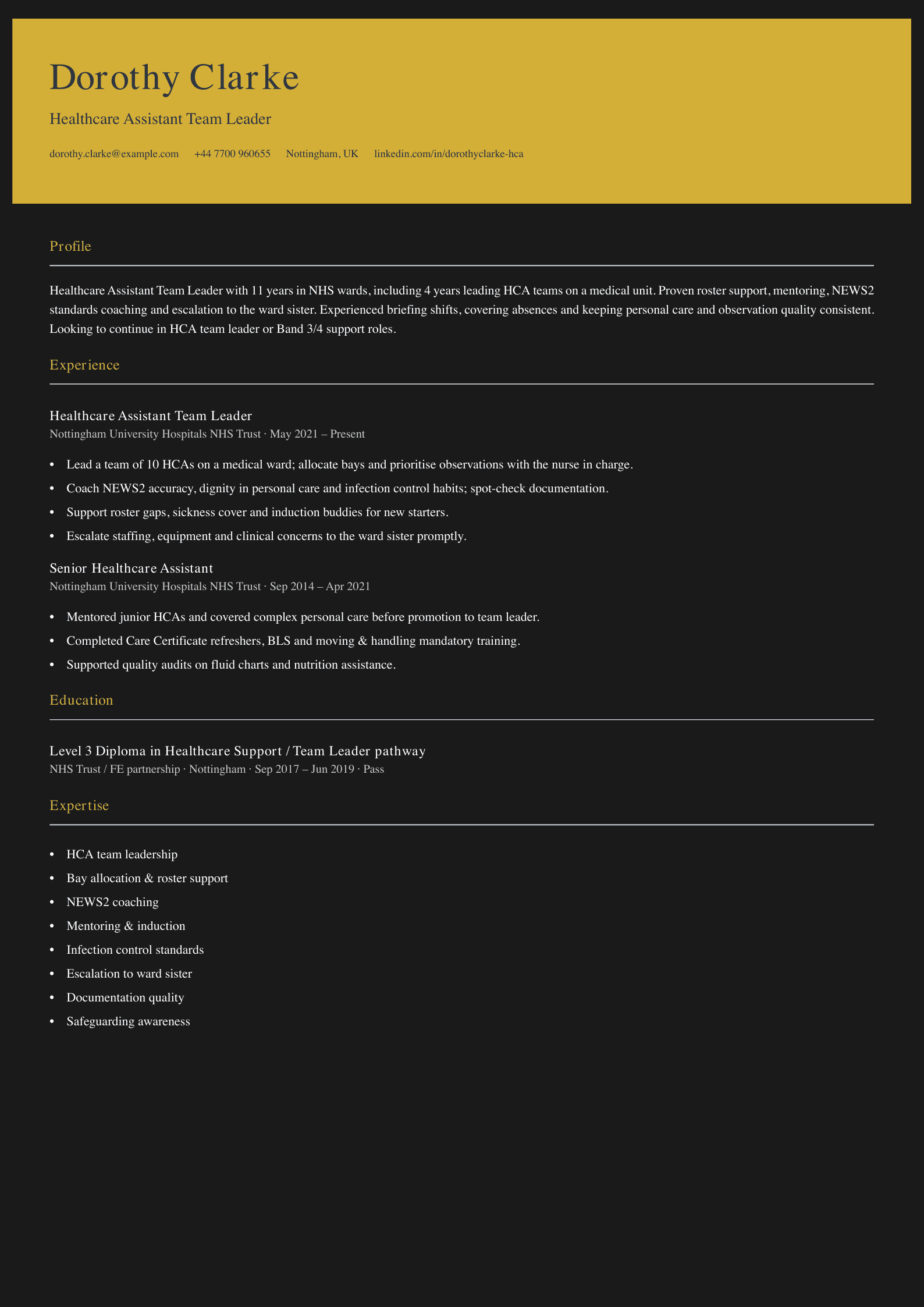 healthcare assistant team leader cv template