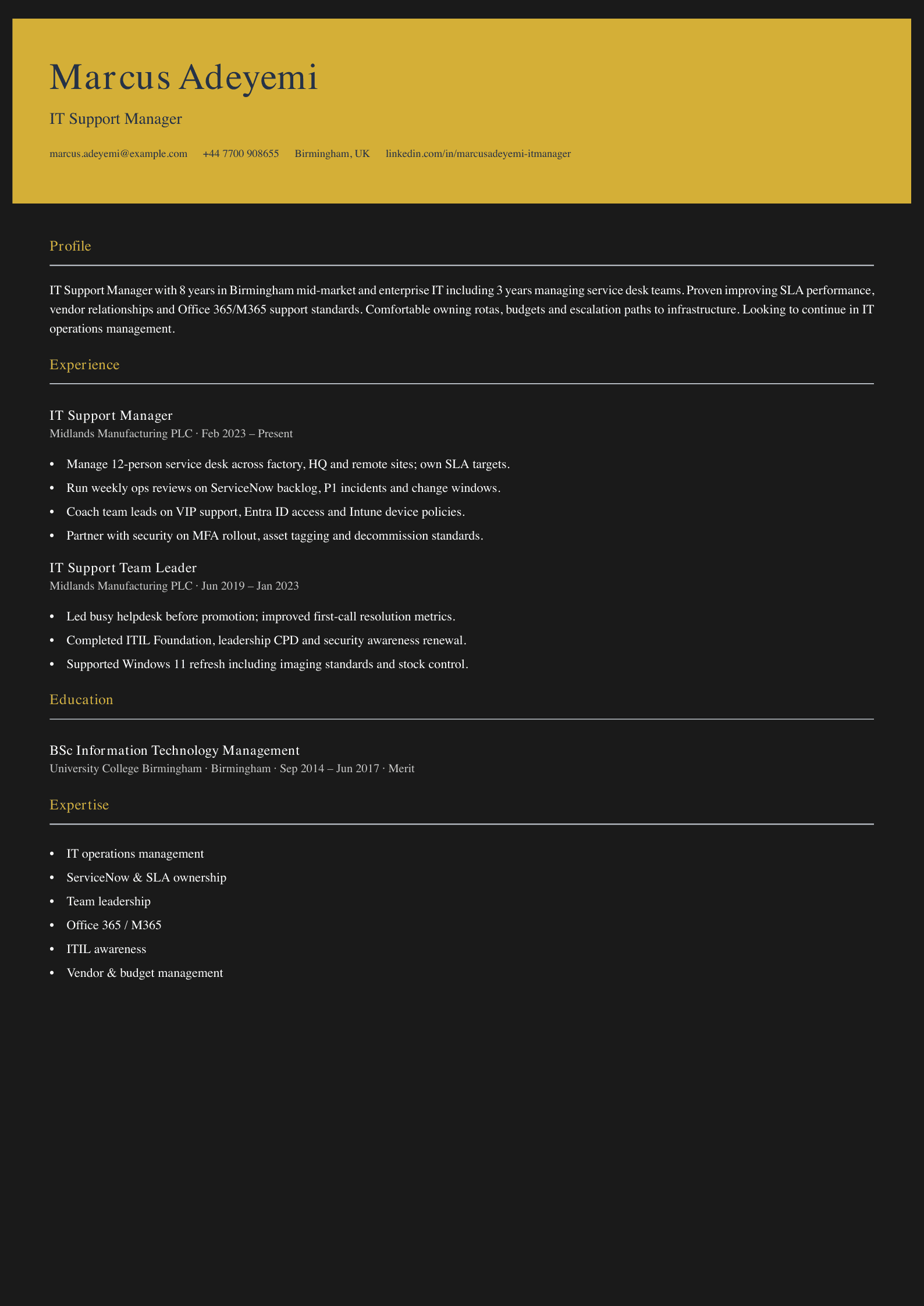 IT support manager cv template
