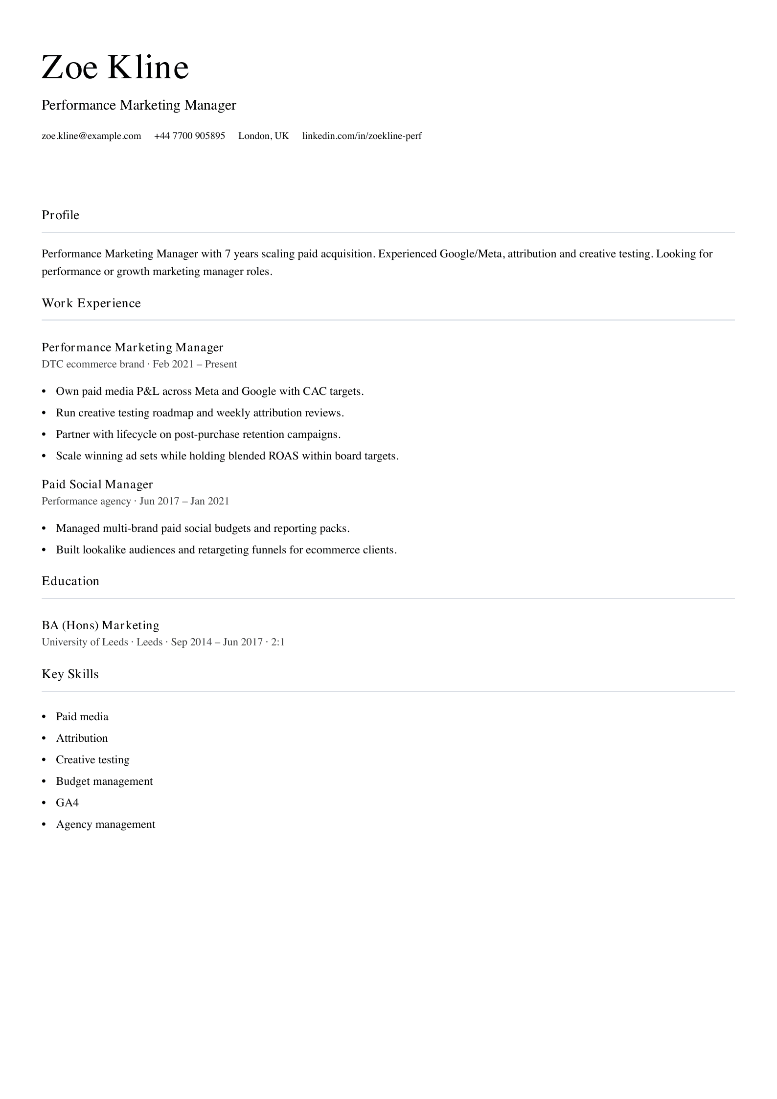 performance marketing manager cv template