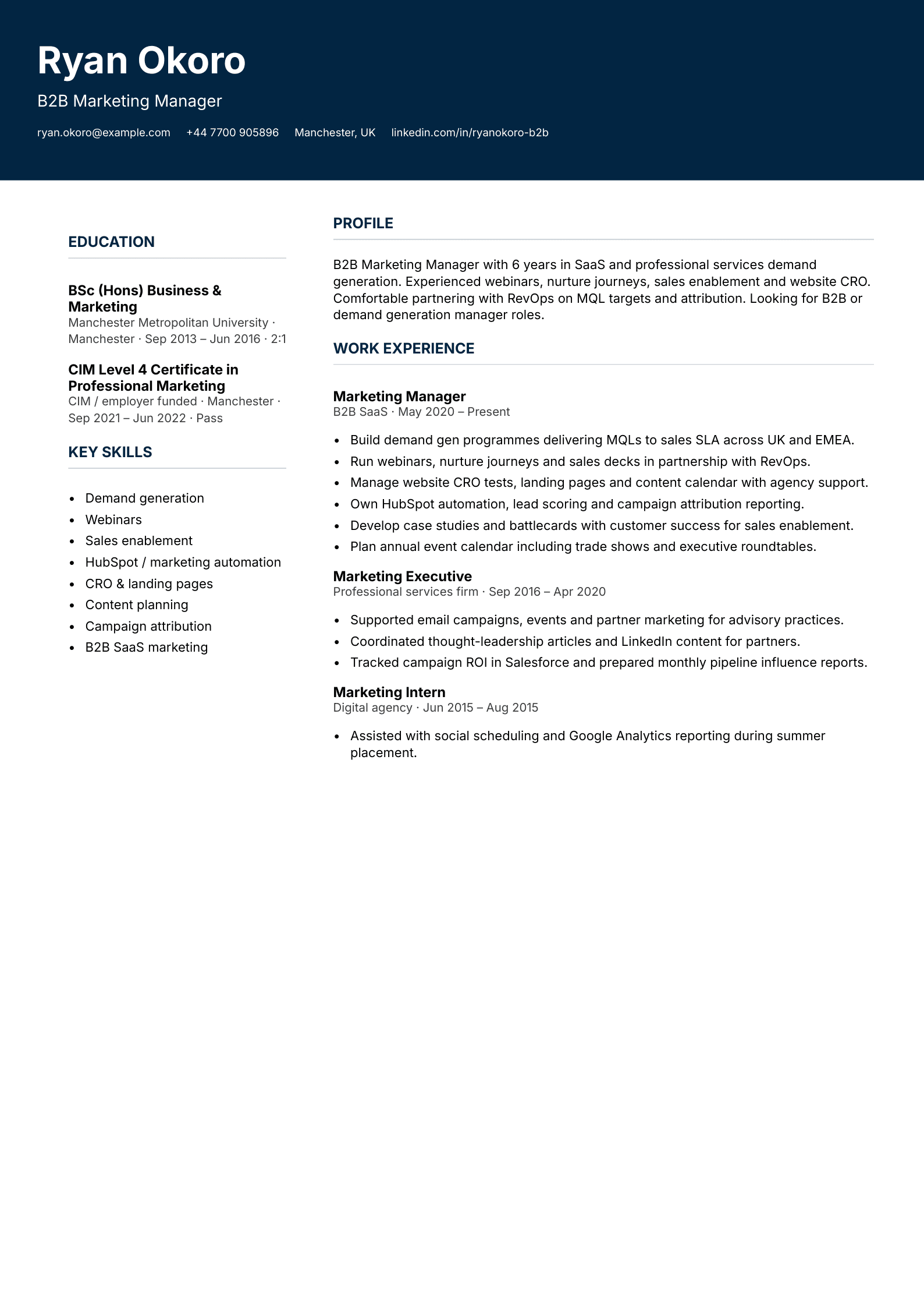 b2b marketing manager cv template