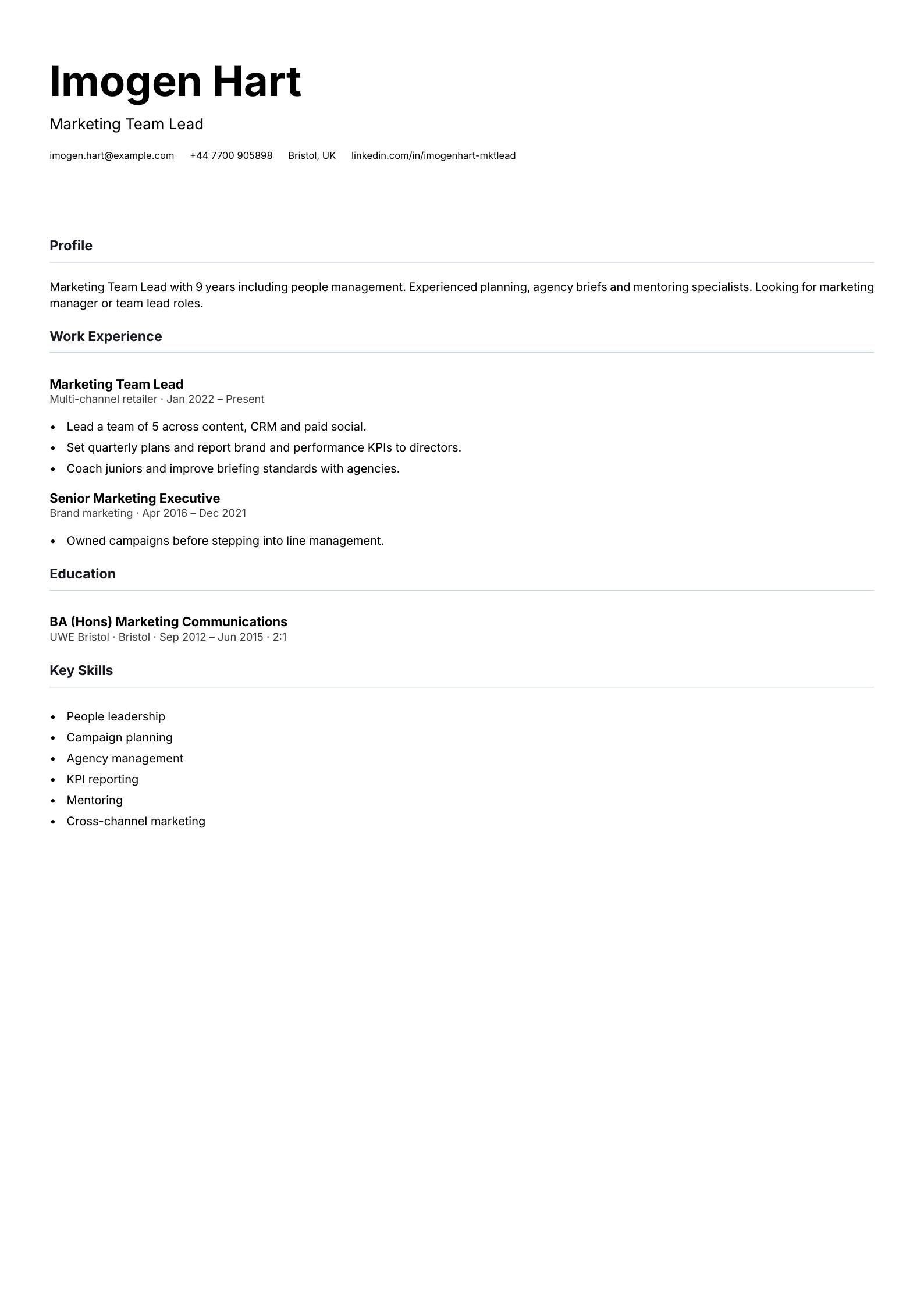 marketing team lead cv template