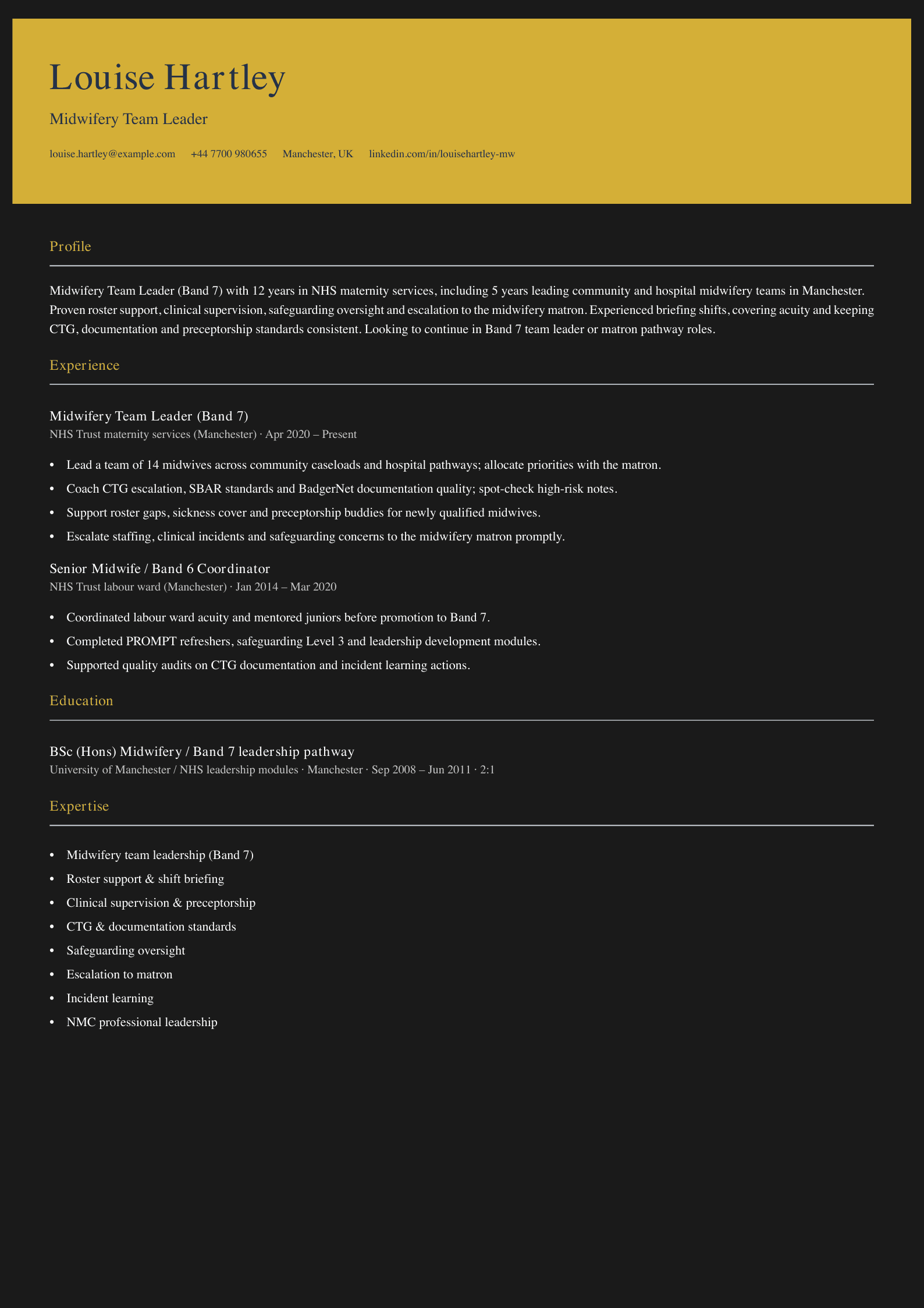 midwifery team leader cv template