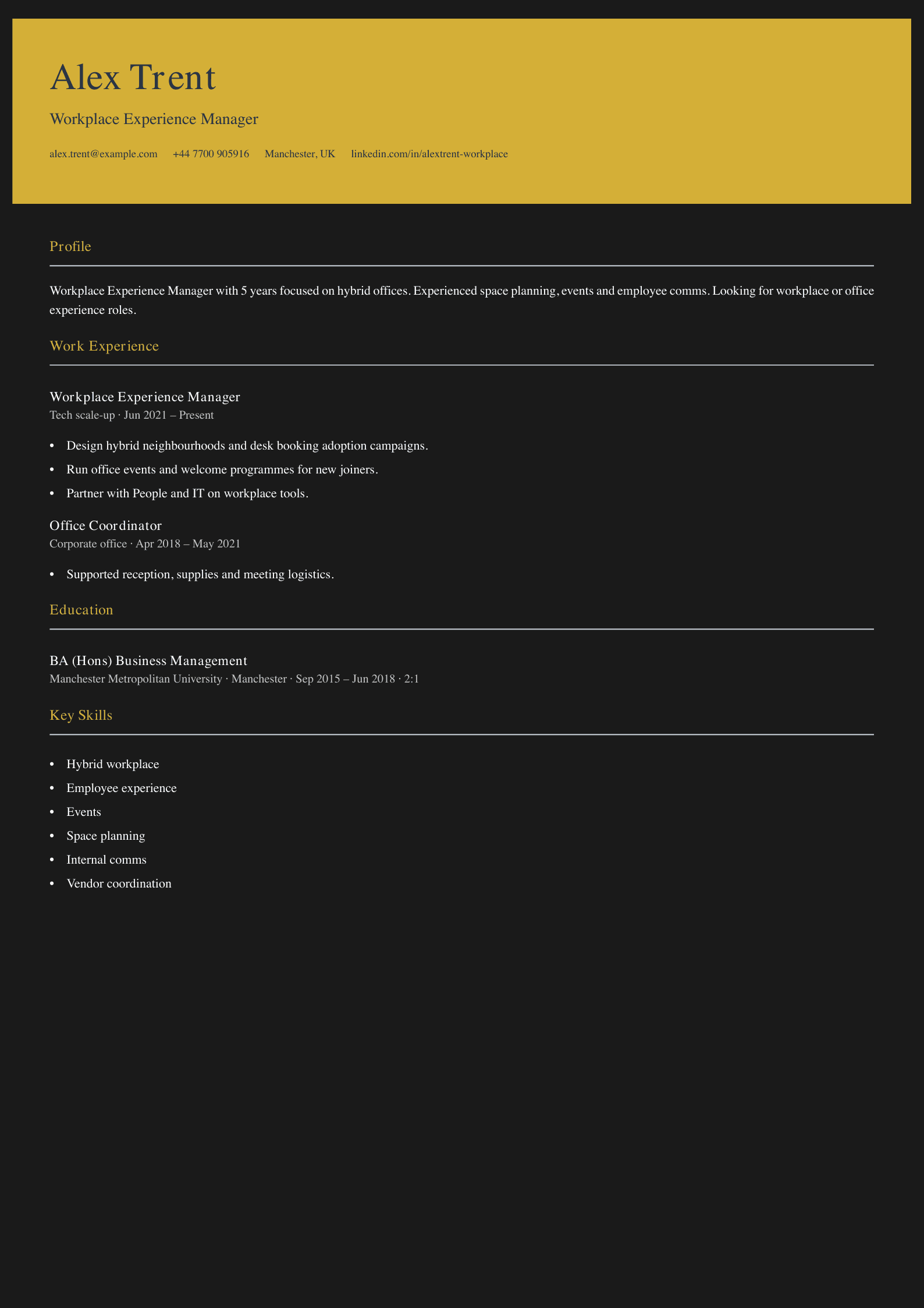 workplace experience manager cv template