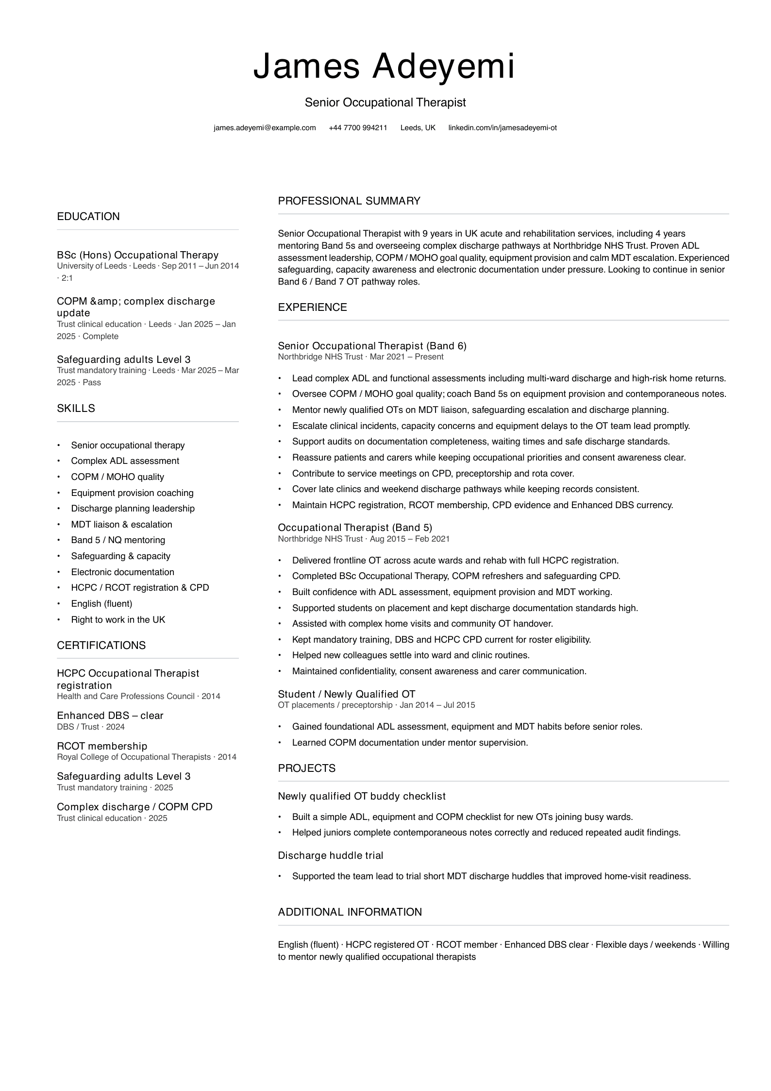senior occupational therapist cv template