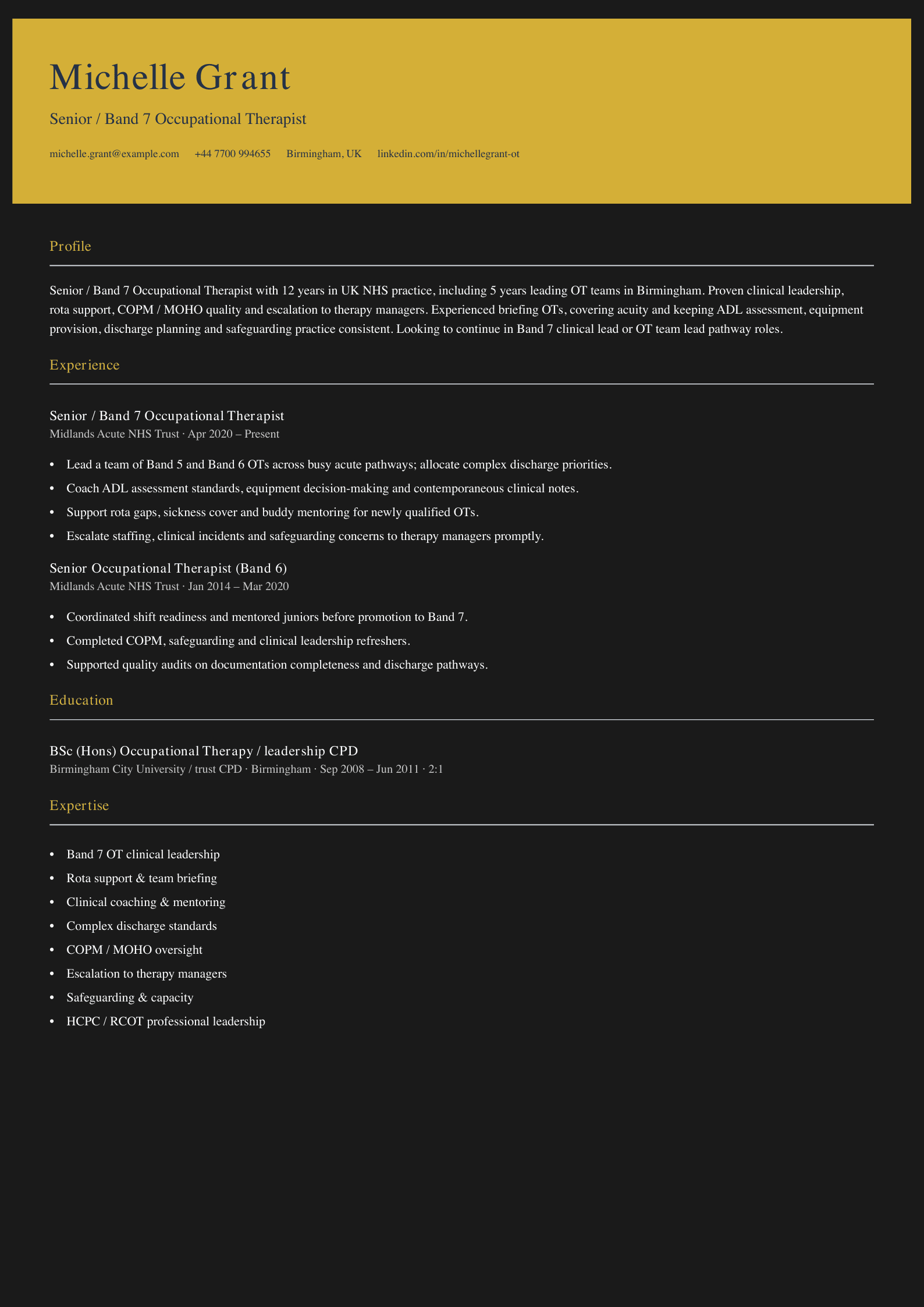 band 7 occupational therapist cv template