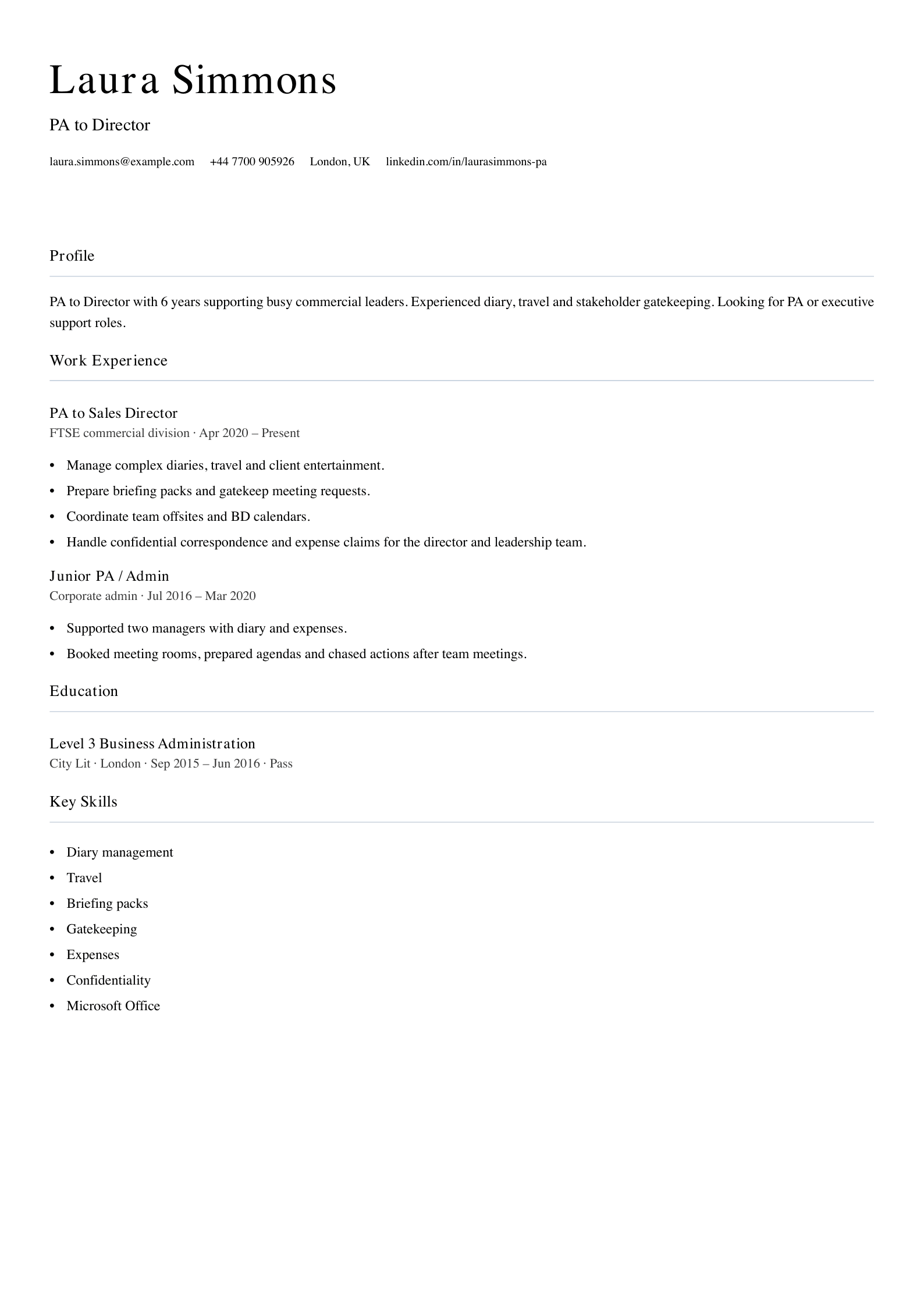 pa to director cv template