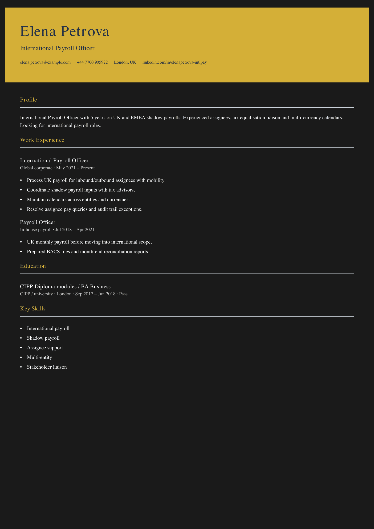 international payroll officer cv template