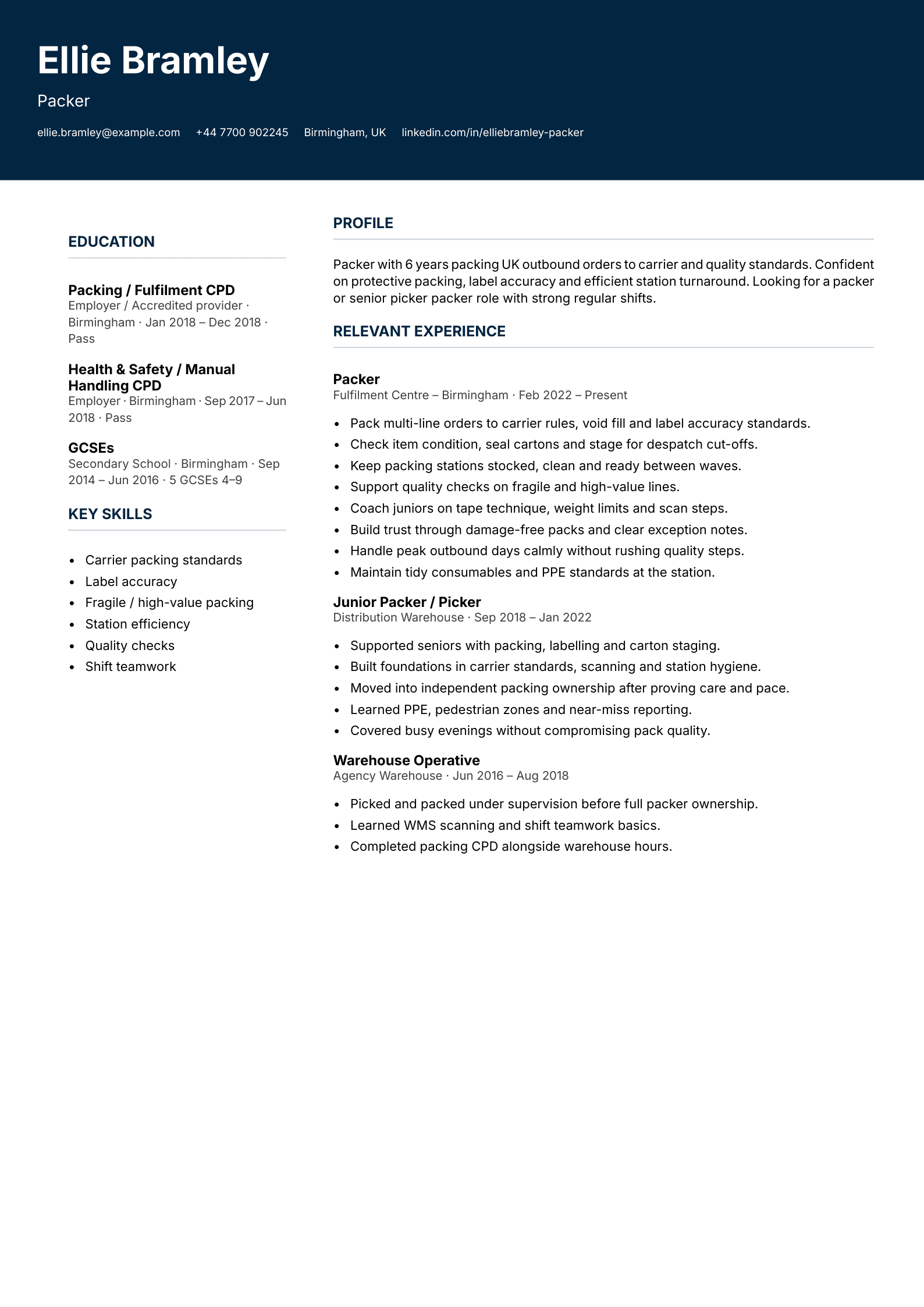 packer CV template