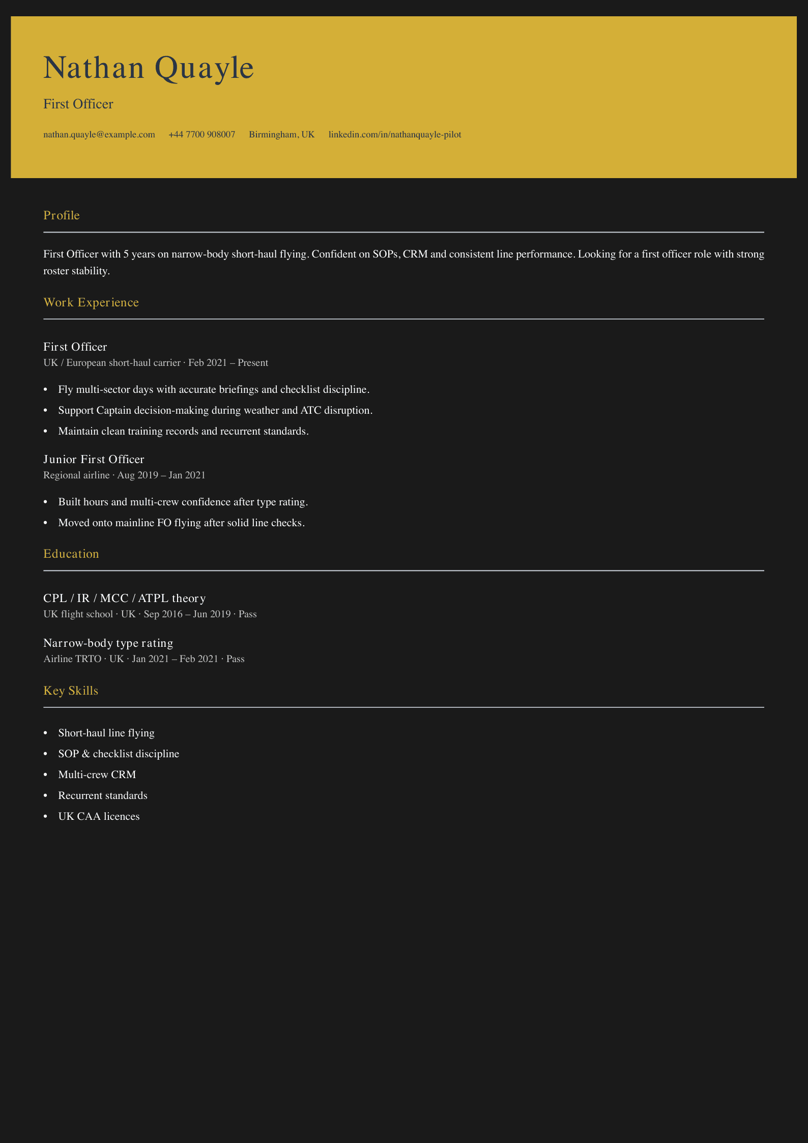 pilot CV template
