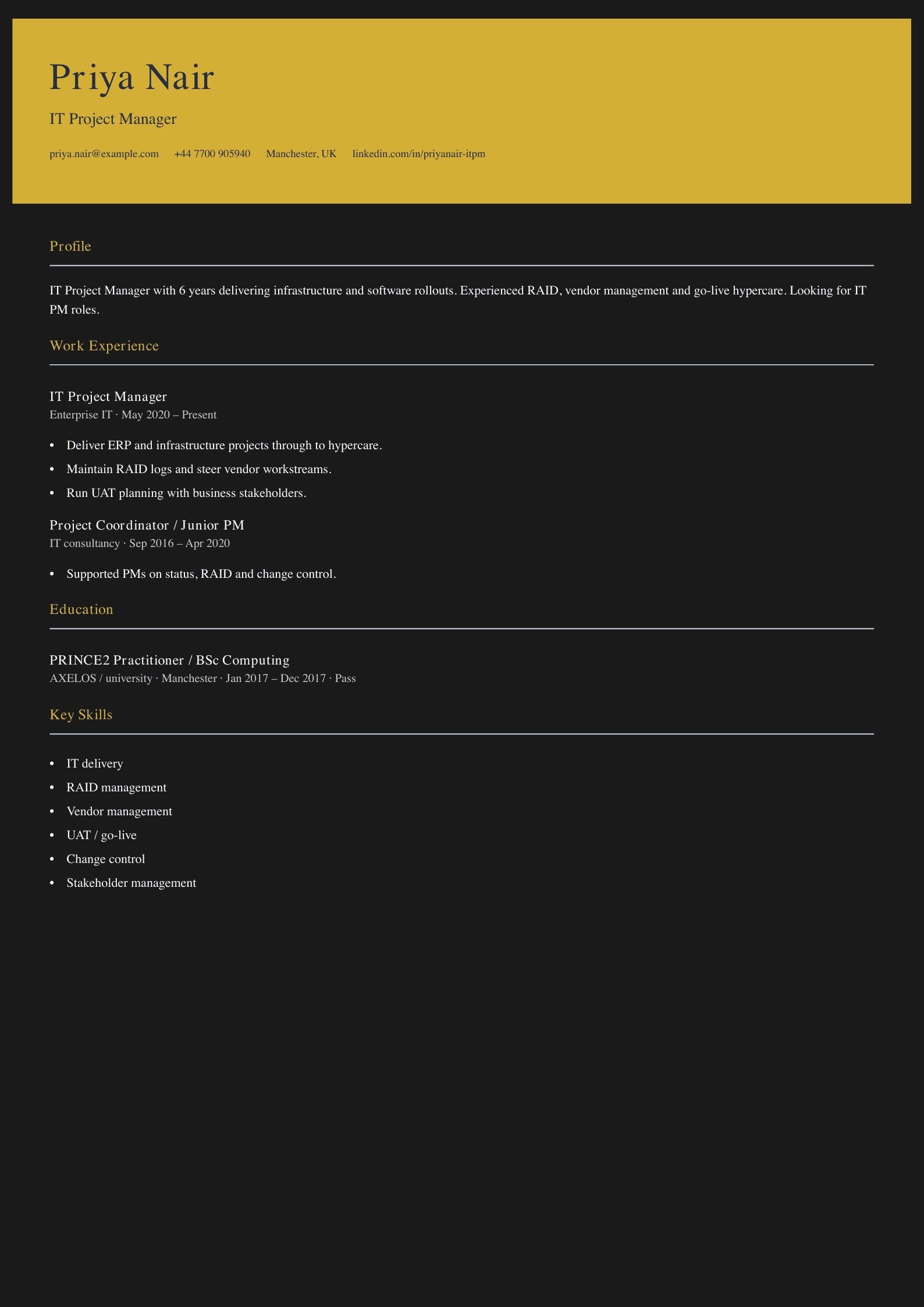enterprise it project manager cv template