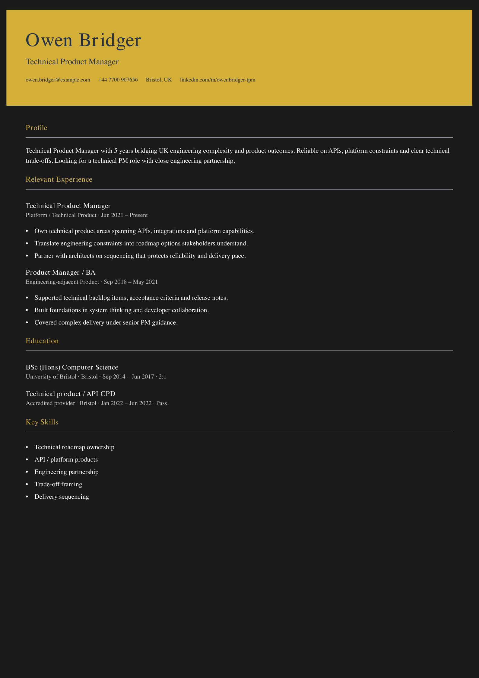 technical product manager CV template