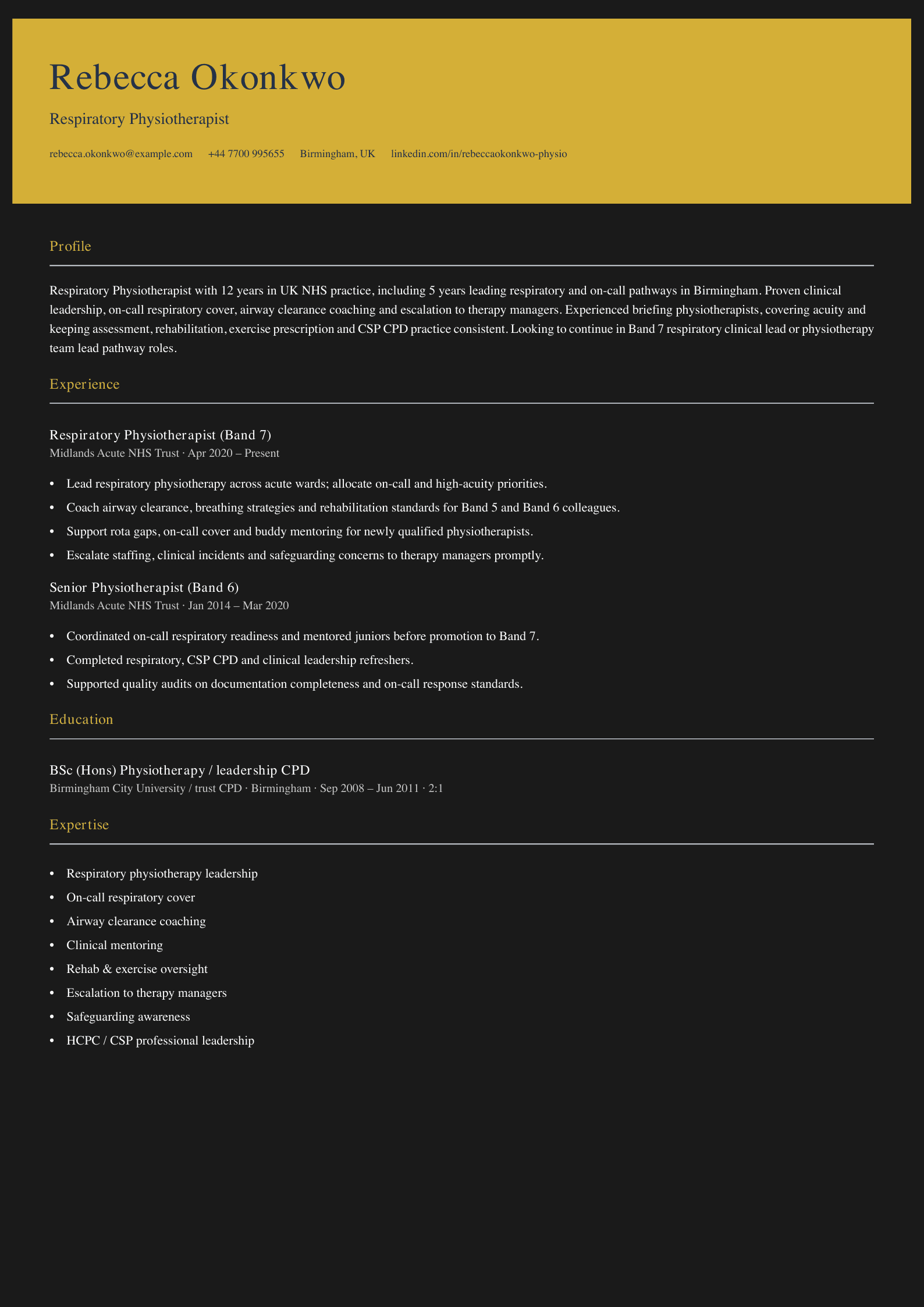 respiratory physiotherapist cv template