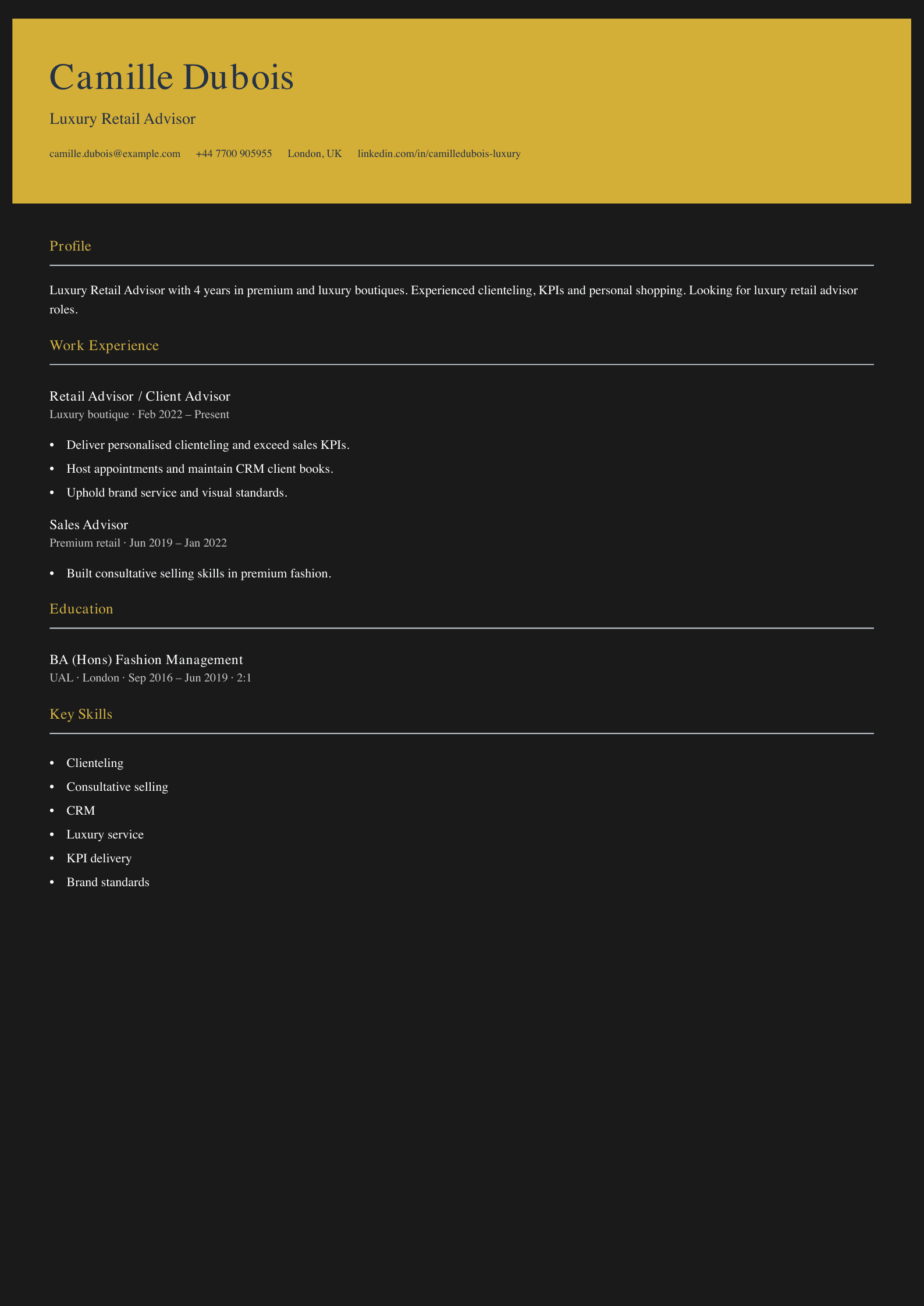luxury retail advisor cv template