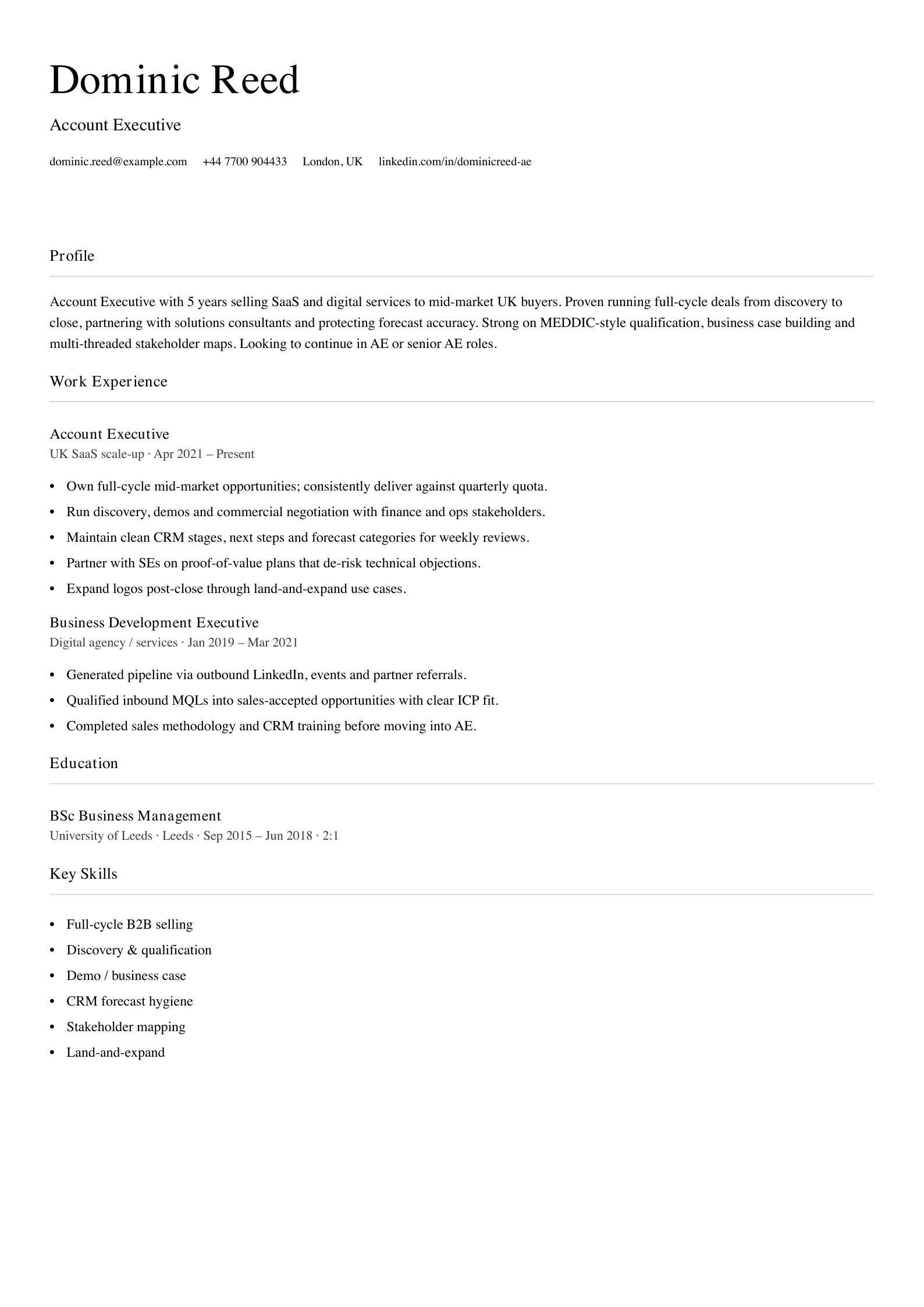account executive cv template