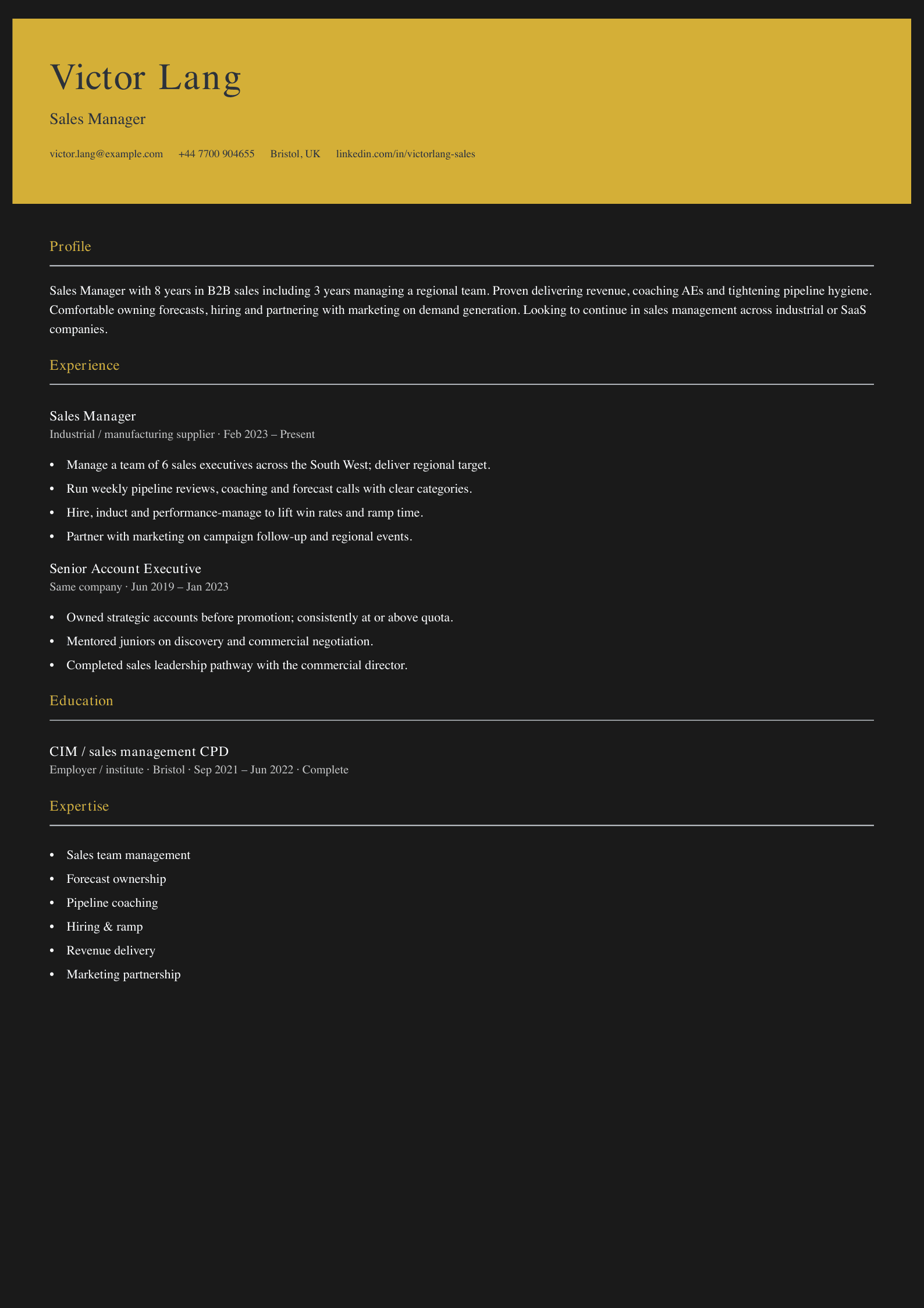 sales manager cv template