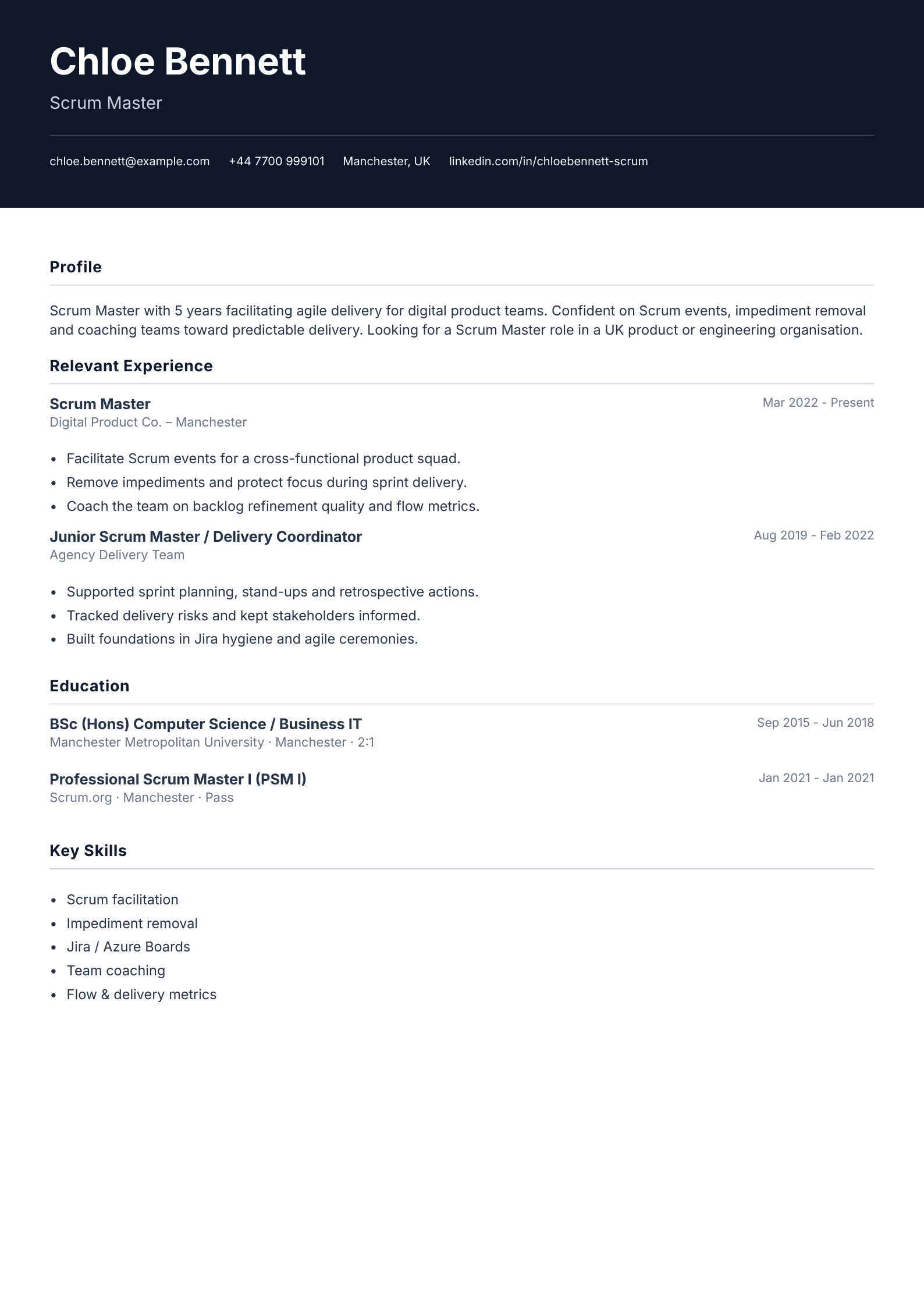 Scrum master CV template