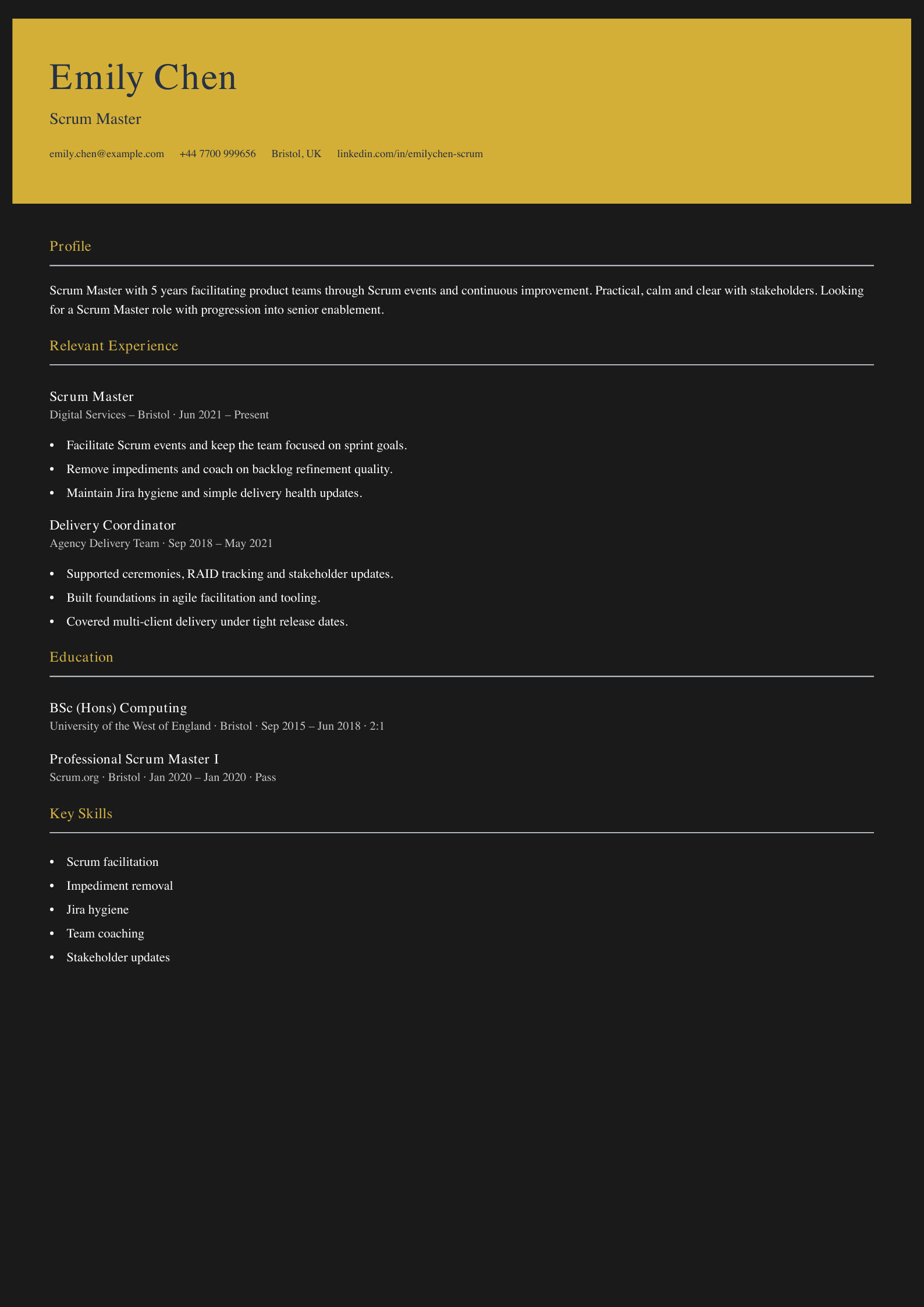 scrum master CV template lean