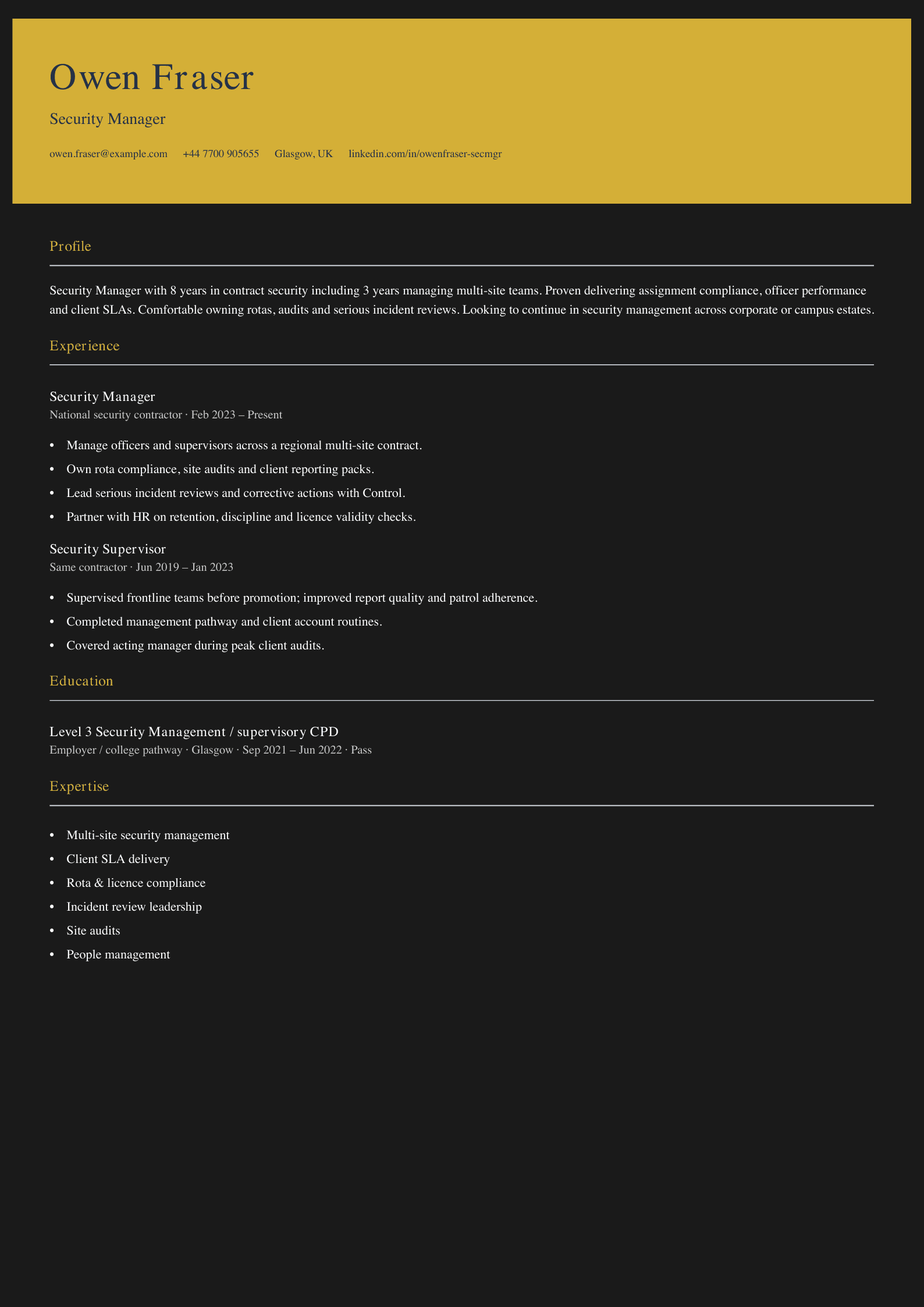 security manager cv template