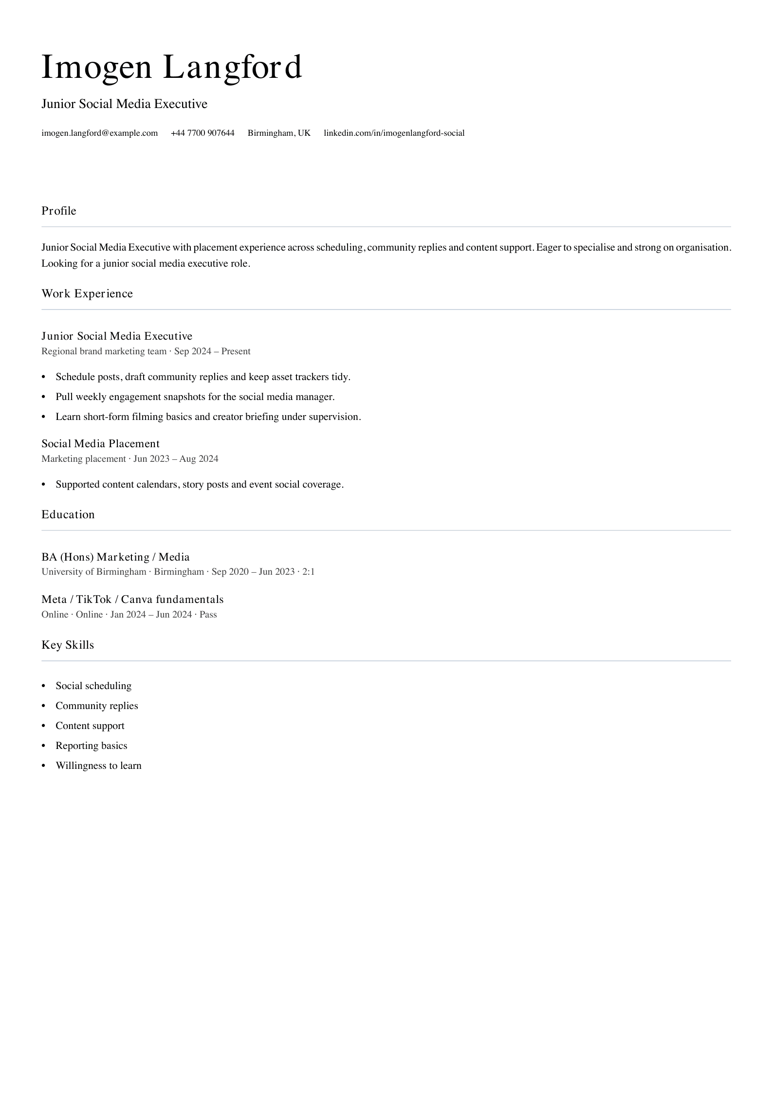 junior social media executive CV template