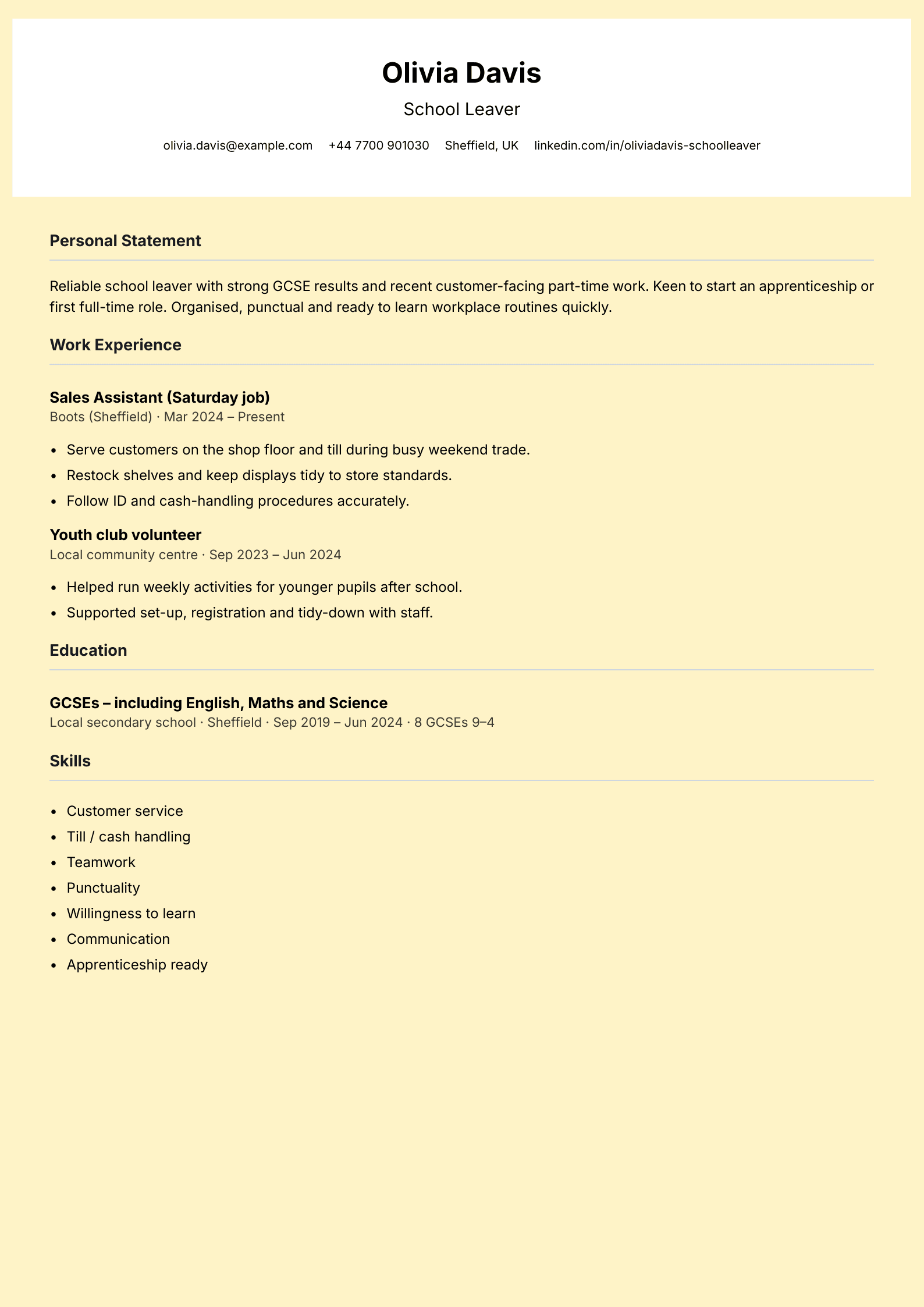 school leaver student cv template preview