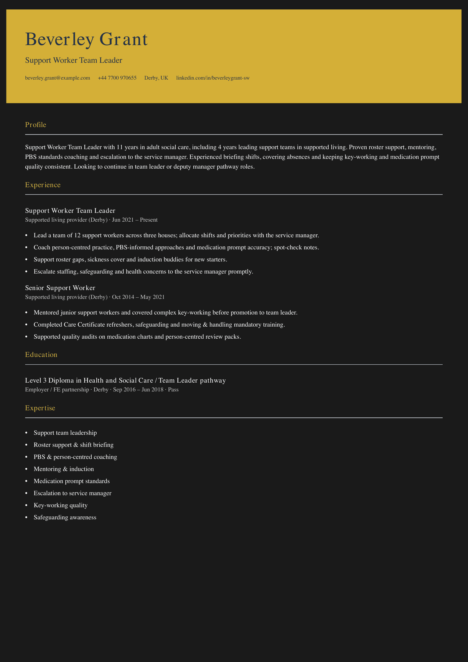 support worker team leader cv template