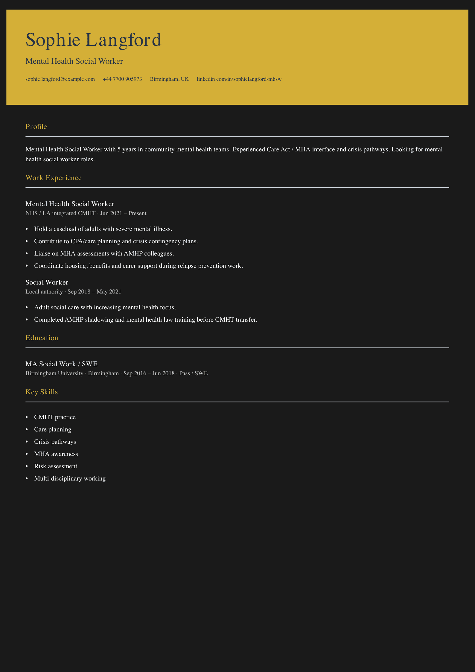 cmht social worker cv template