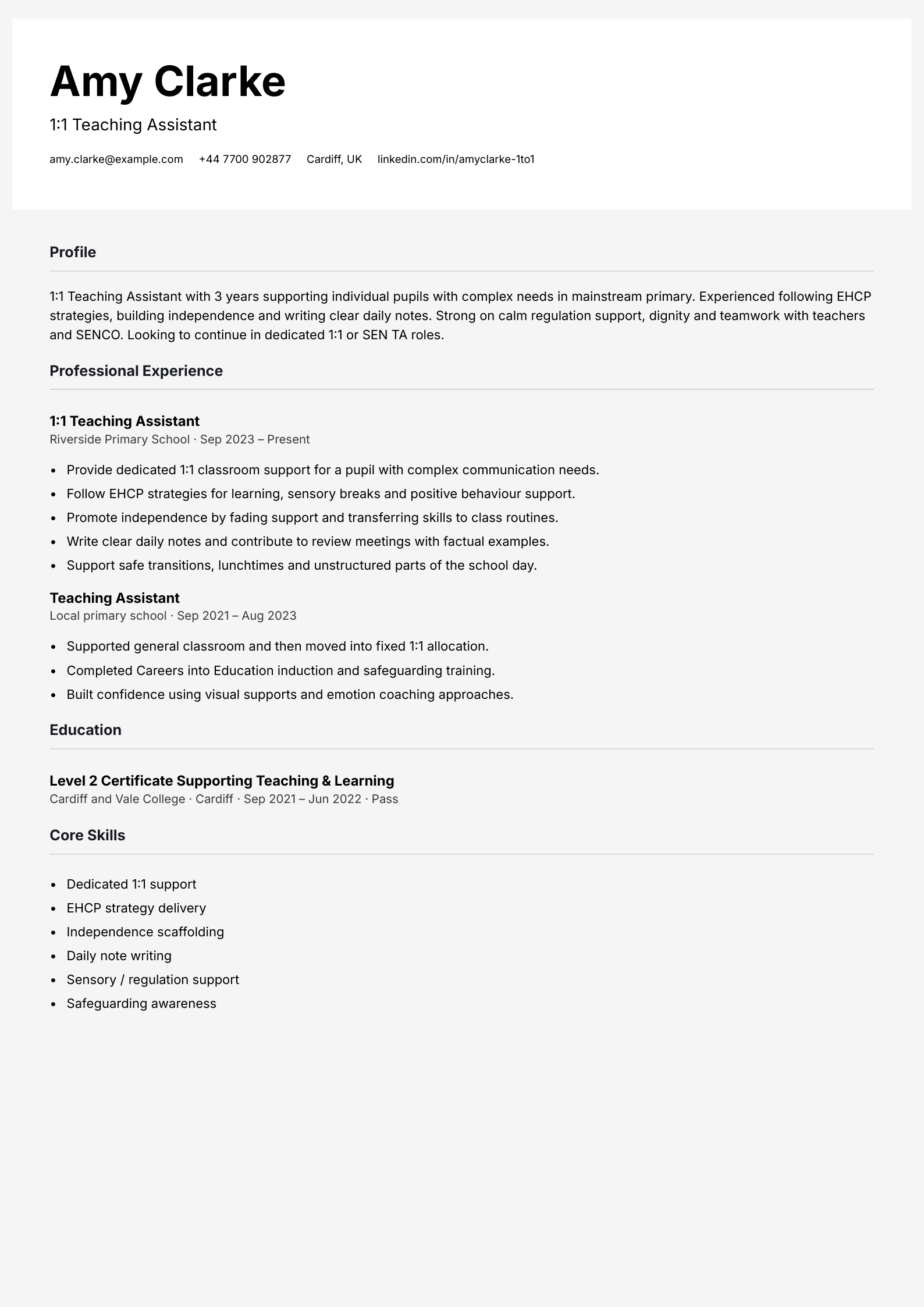 one to one teaching assistant cv template
