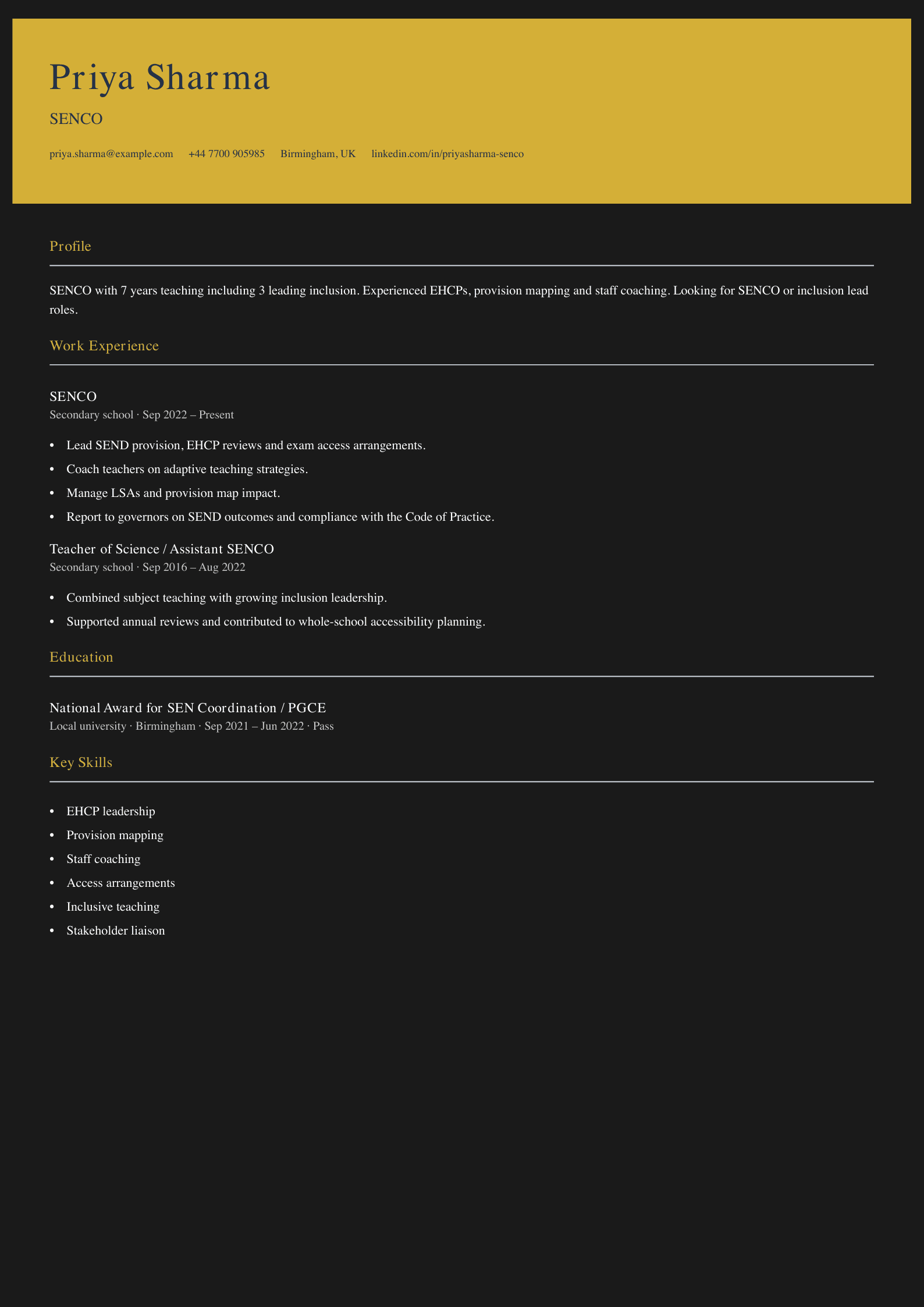 senco cv template