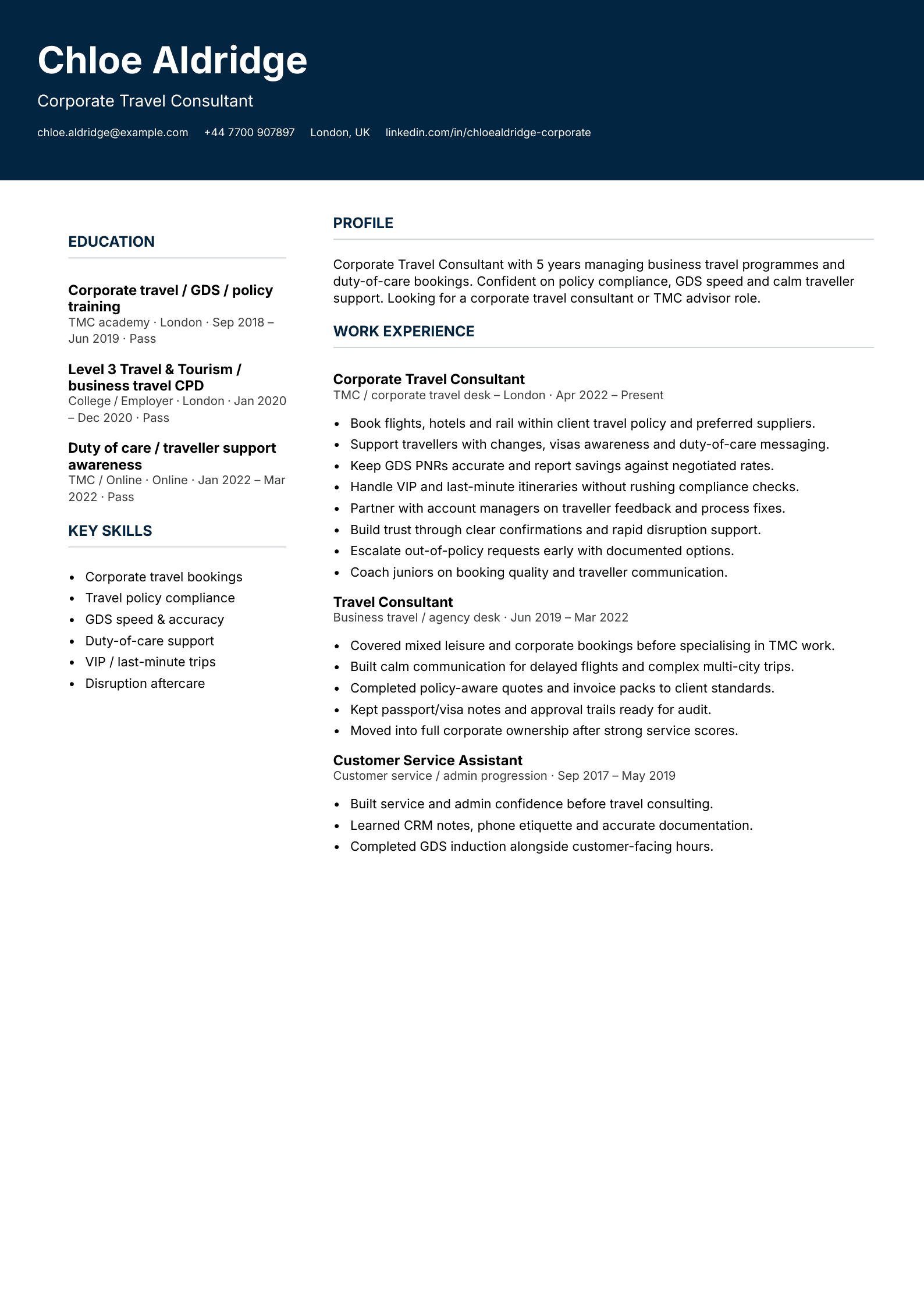 corporate travel consultant CV template