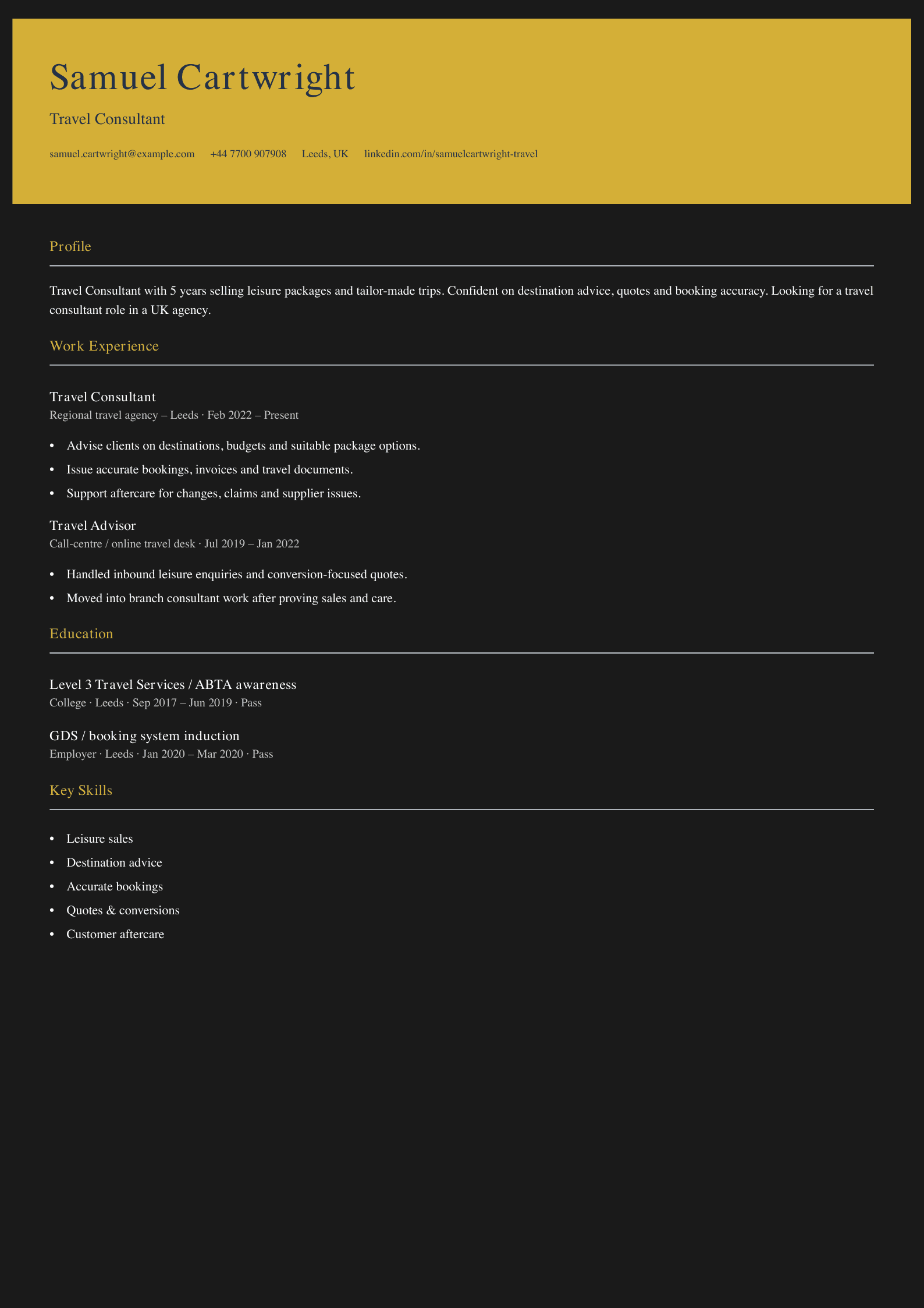 travel consultant CV template