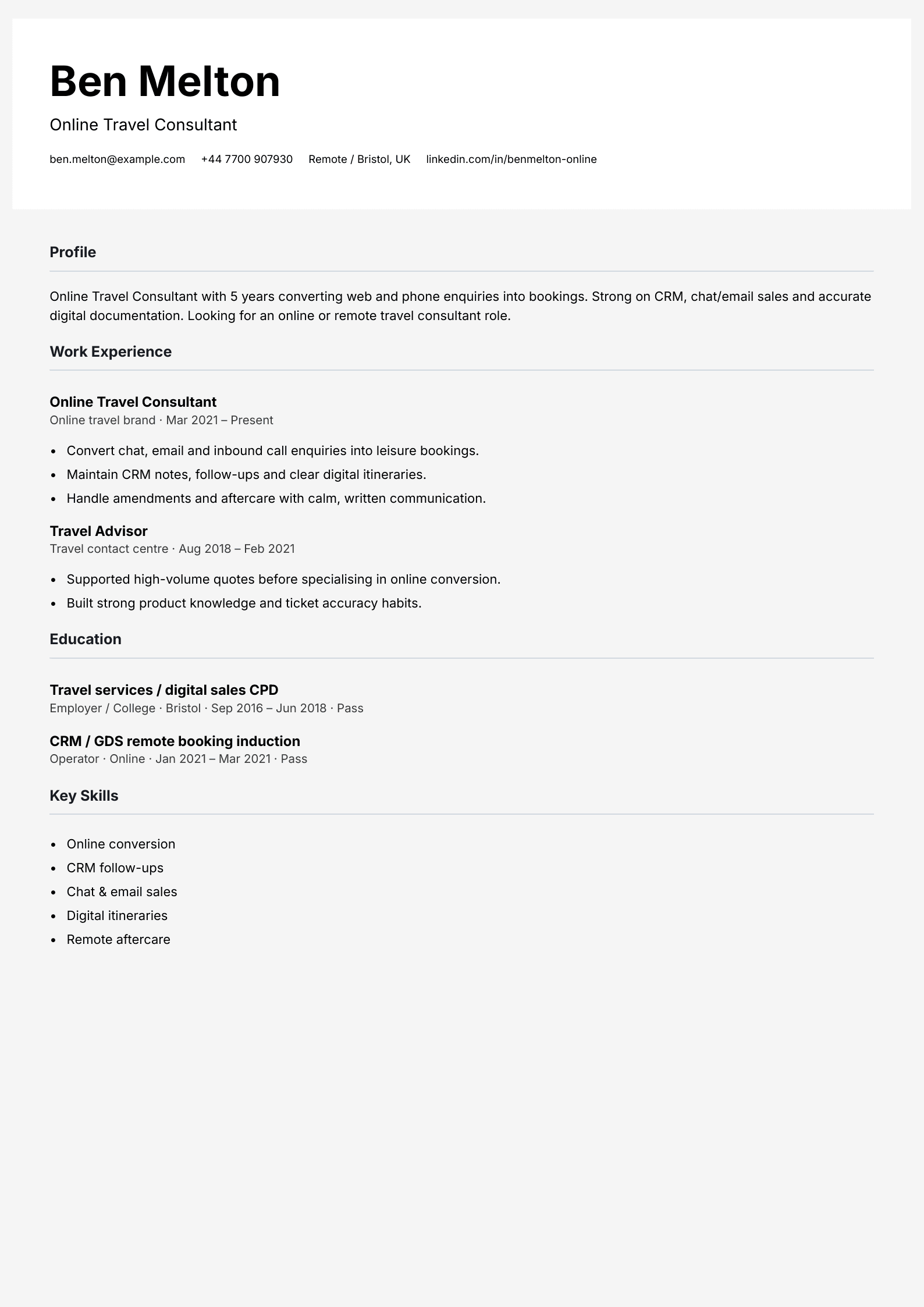 online travel consultant CV template