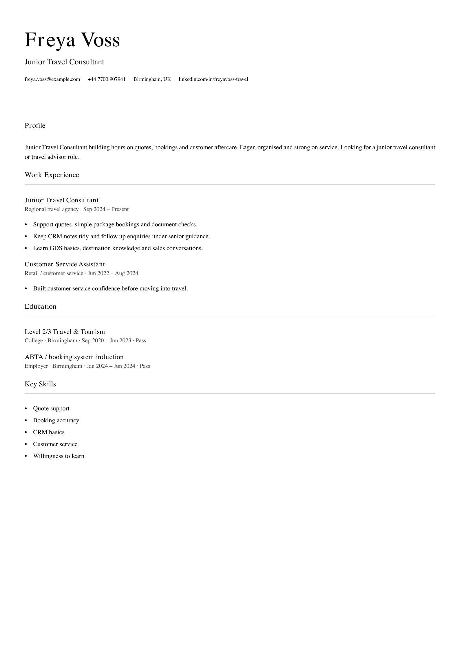 junior travel consultant CV template
